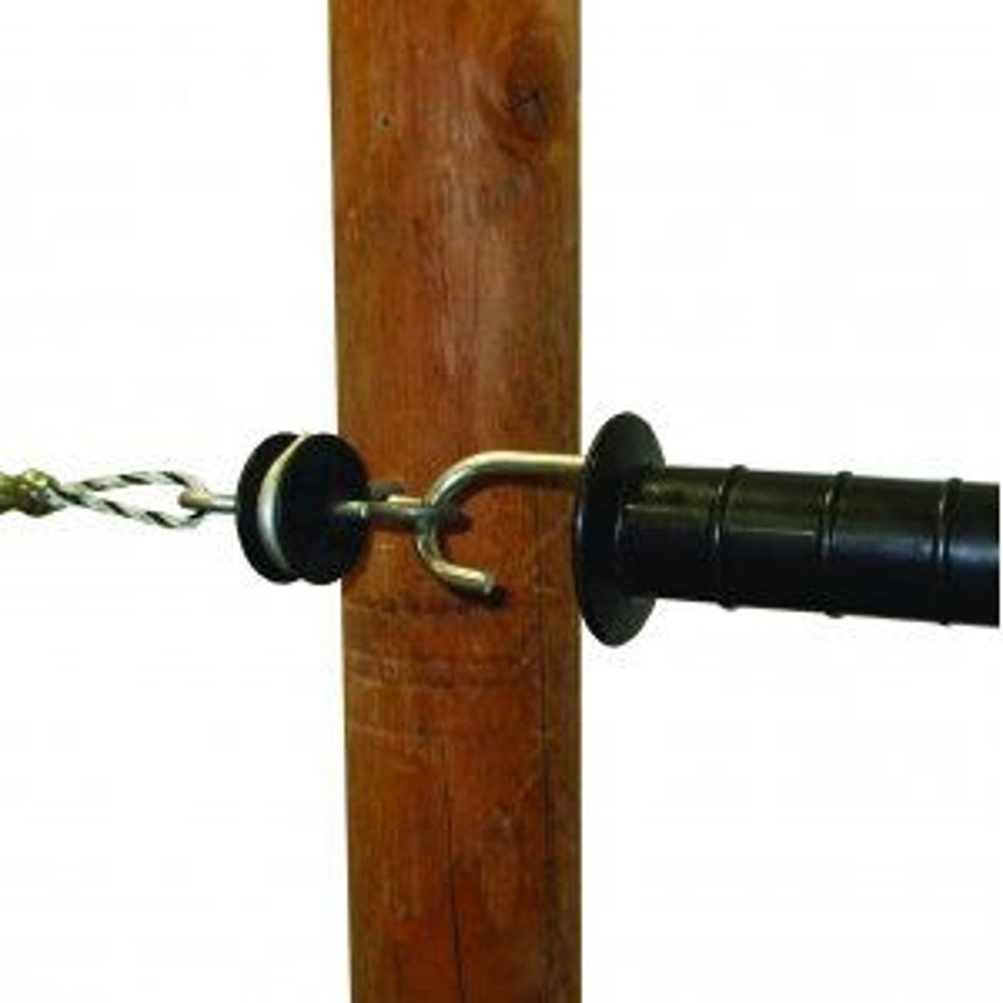 TE017563.jpg
