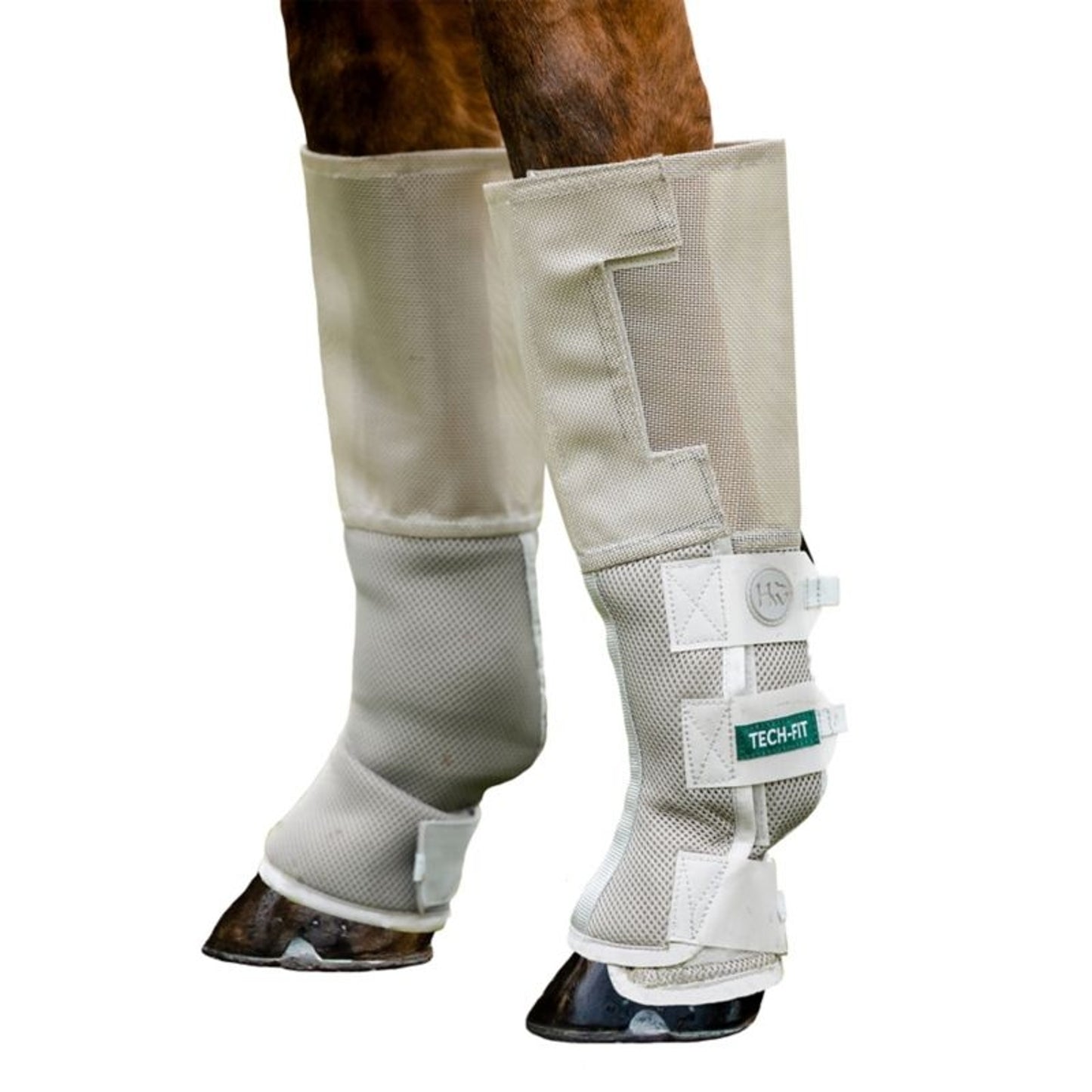 TE036055_P_WO.jpg