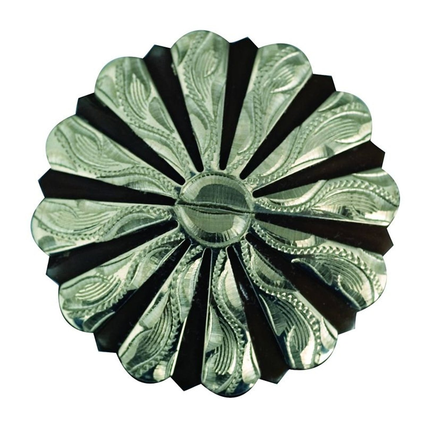 TE048495.jpg