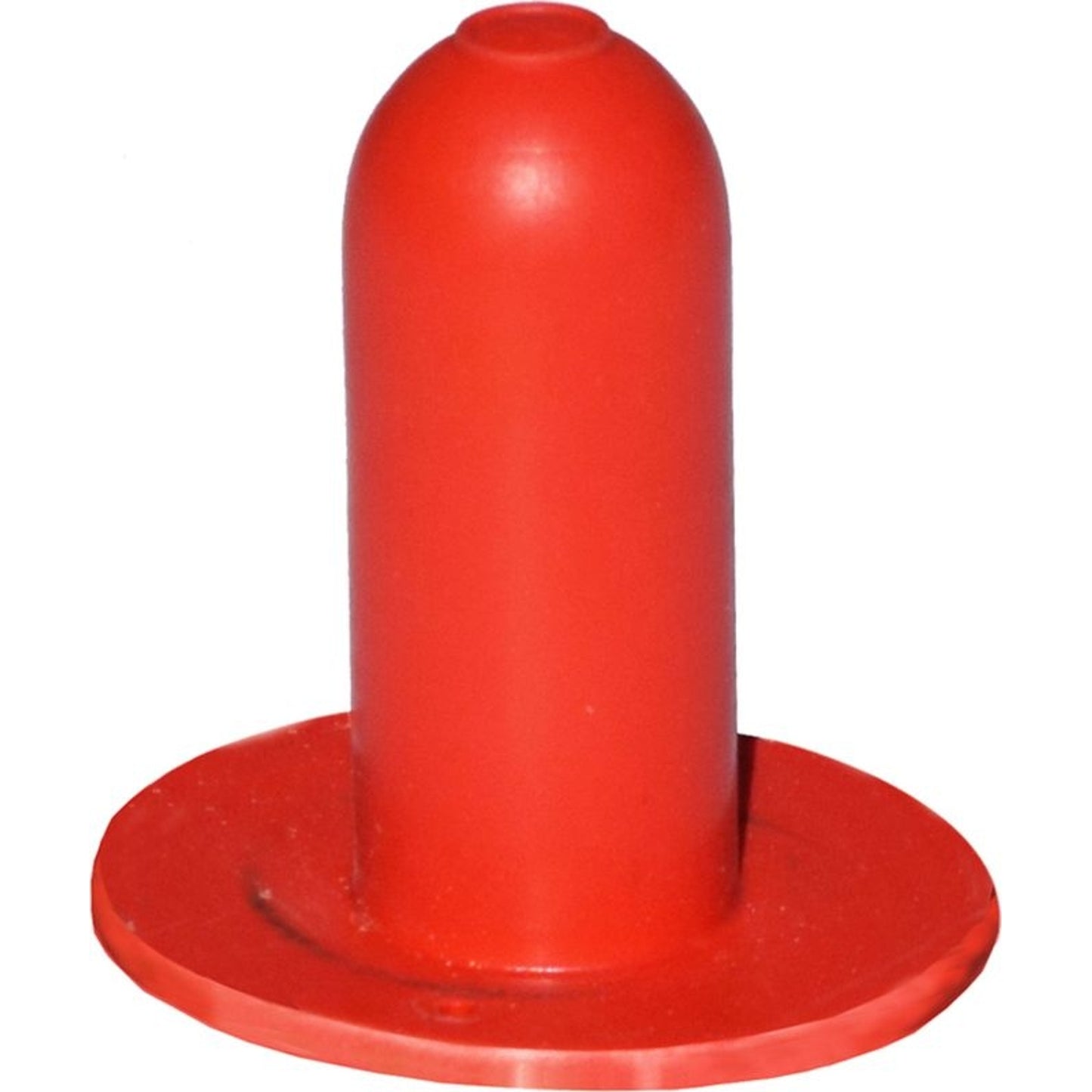 TH1437080.jpg
