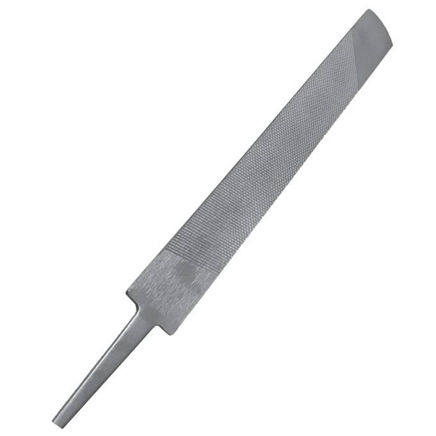 TH1656315_P.jpg