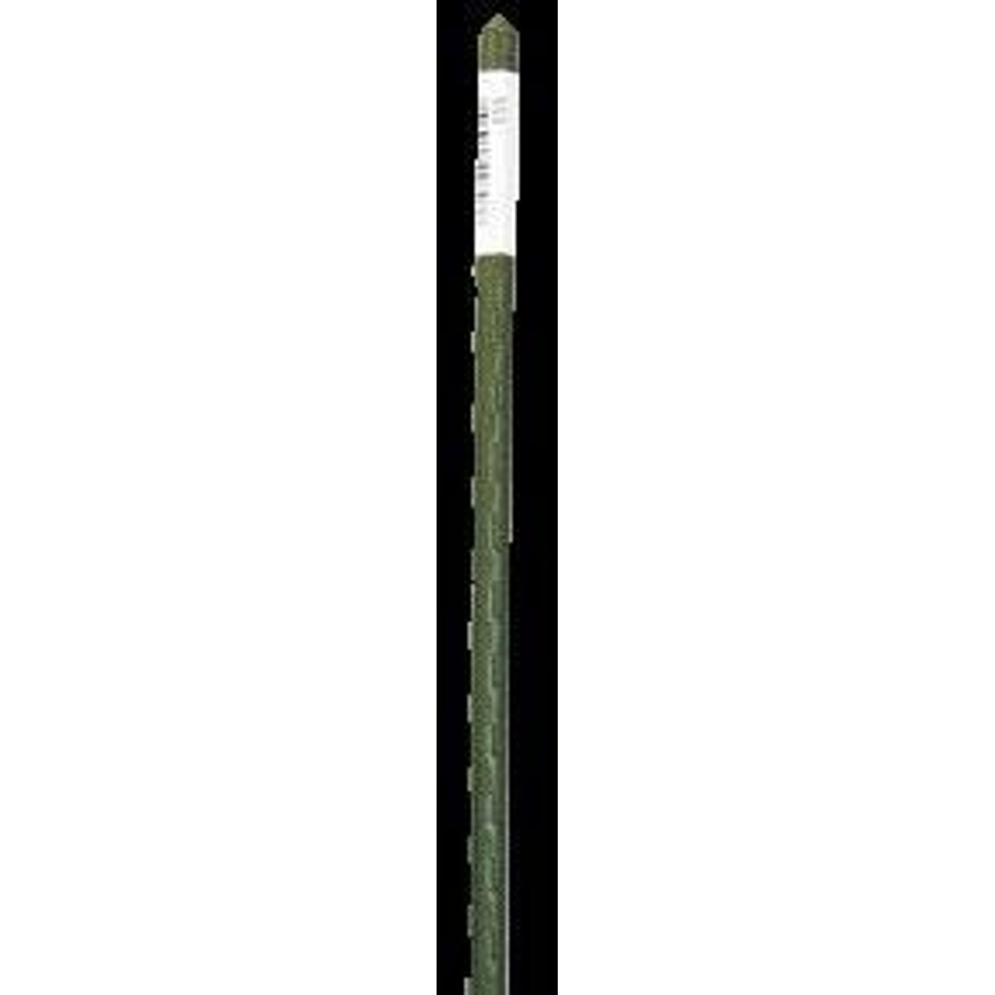 TH410894.jpg