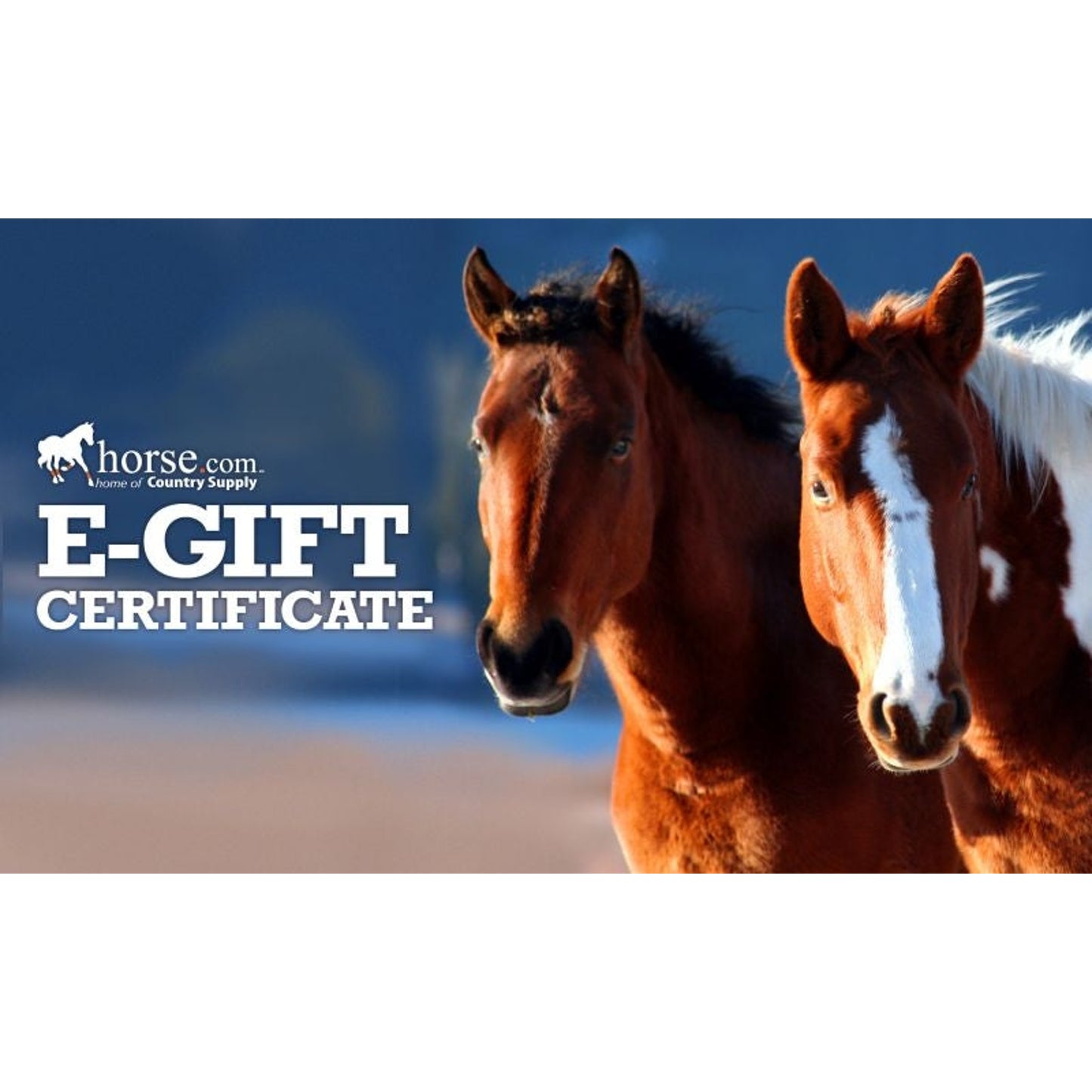 CountrySupply.com Gift Certificate
