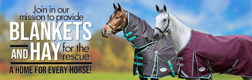 Join in our mission to provide blankets and hay for the rescue..