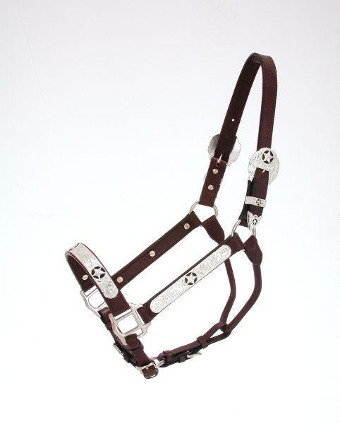 Royal King Black Star Silver Show Halter