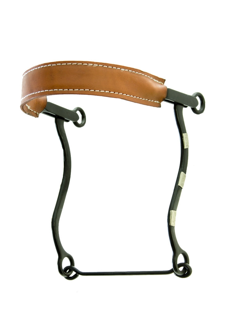 Satin Hackamore Bit