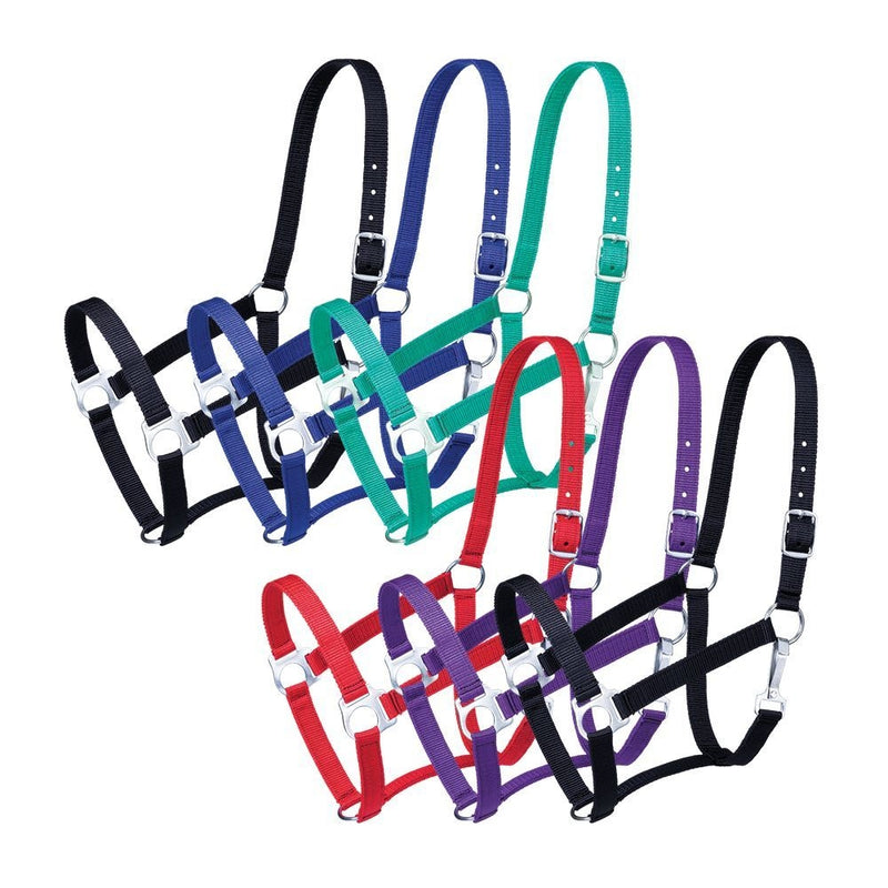 Tough1 Economy Halter - 6 Pack