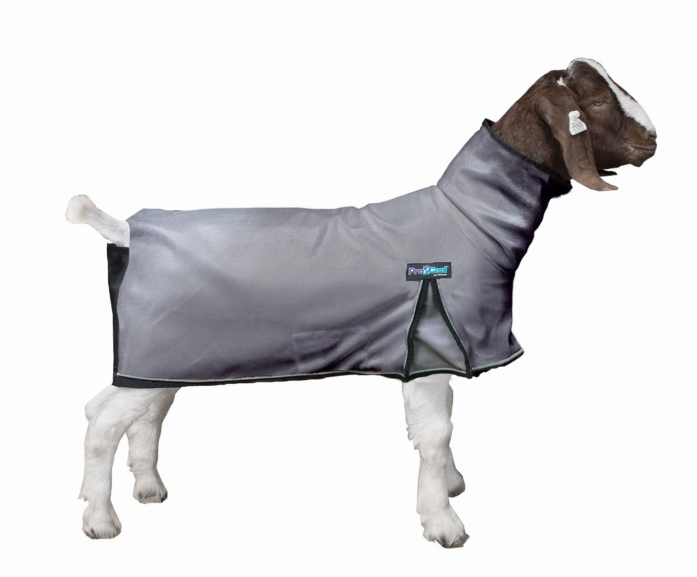 Weaver ProCool Goat Blanket with Reflective Piping