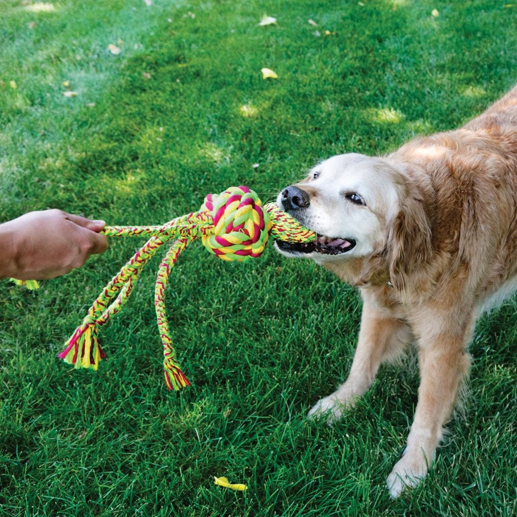 KONG Wubba Weaves with Rope