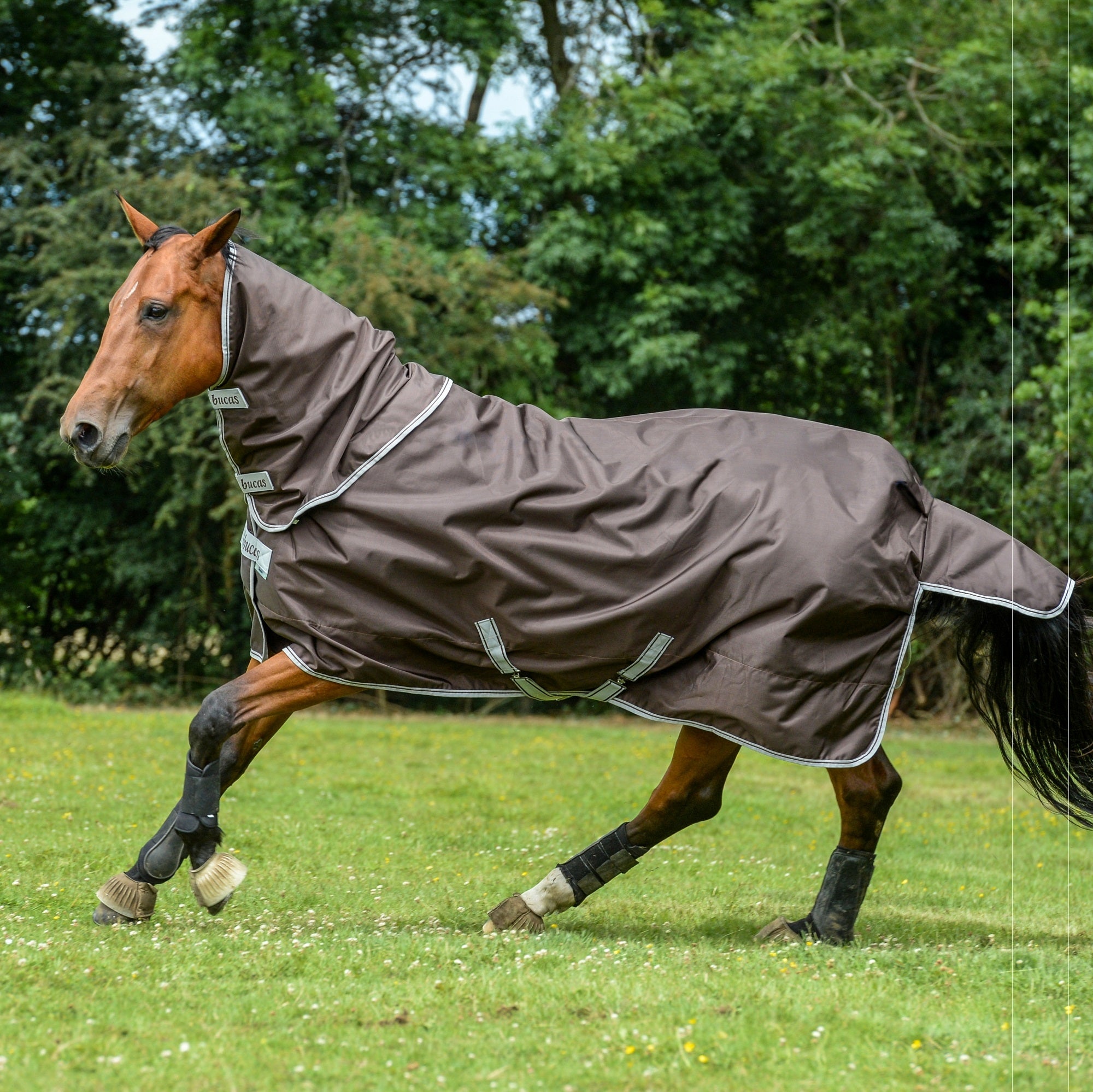 Bucas Smartex Extra Turnout Blanket (300g)