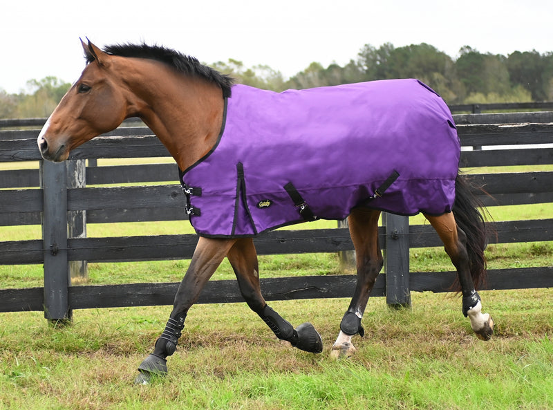 Gatsby Premium 1200D WP Turnout Blanket