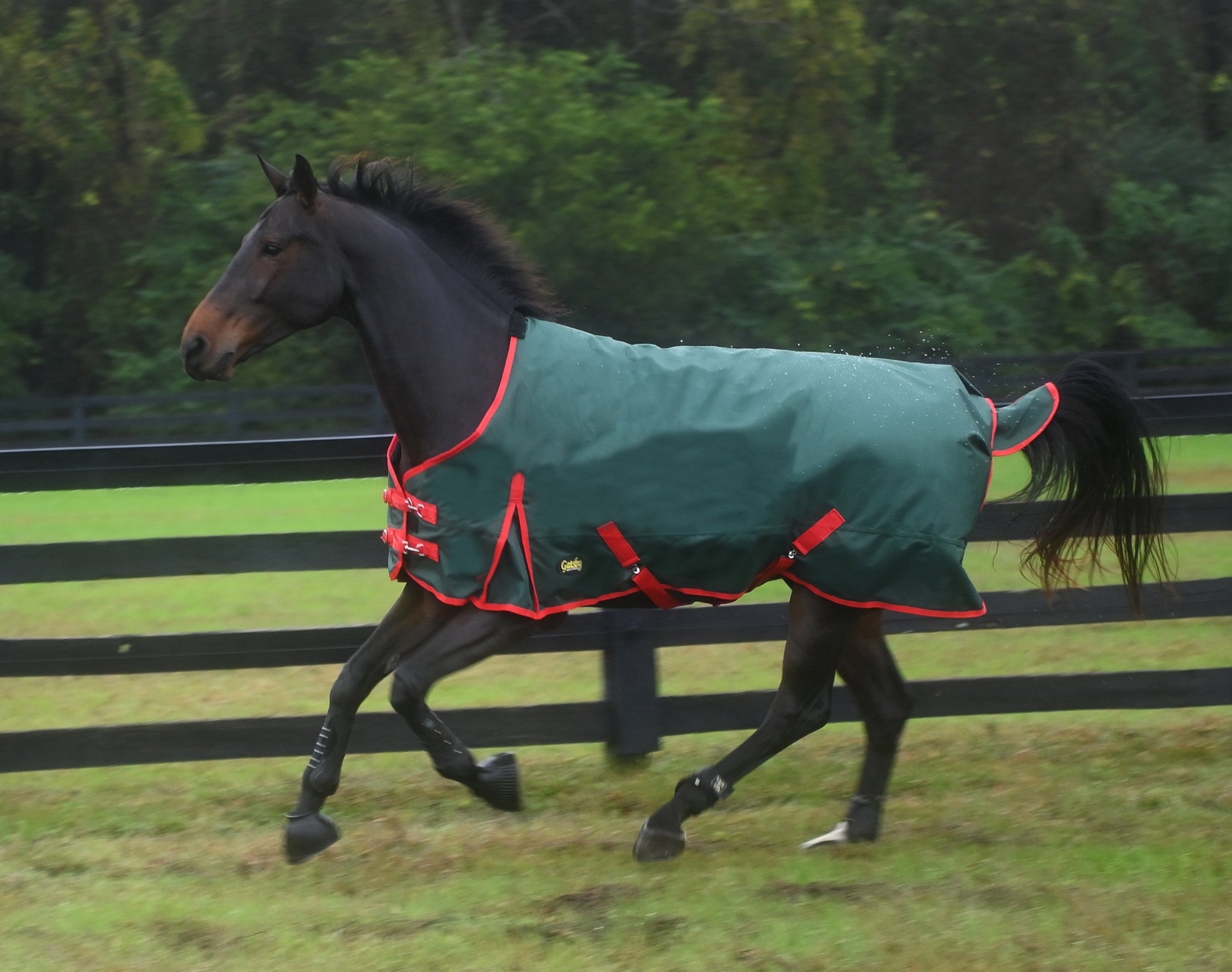 Gatsby Premium 1200D WP Turnout Blanket