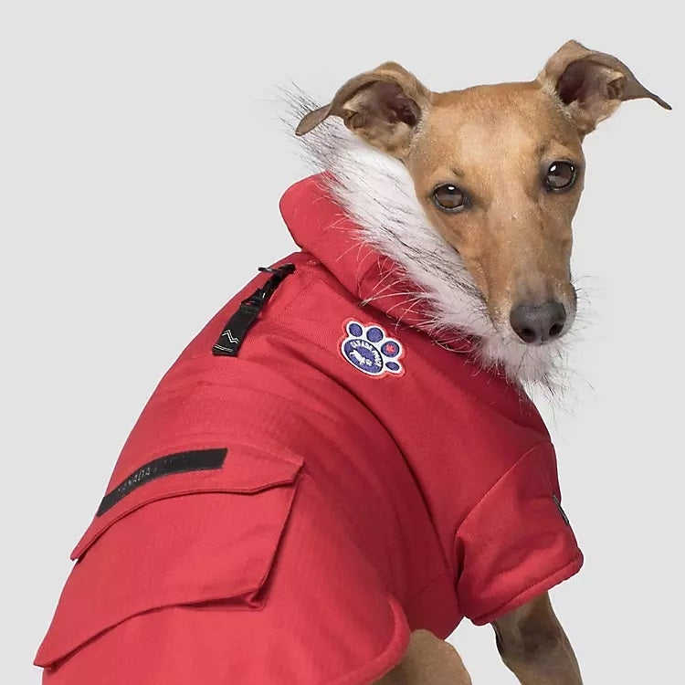 Canada Pooch Winter Wilderness Red Dog Parka