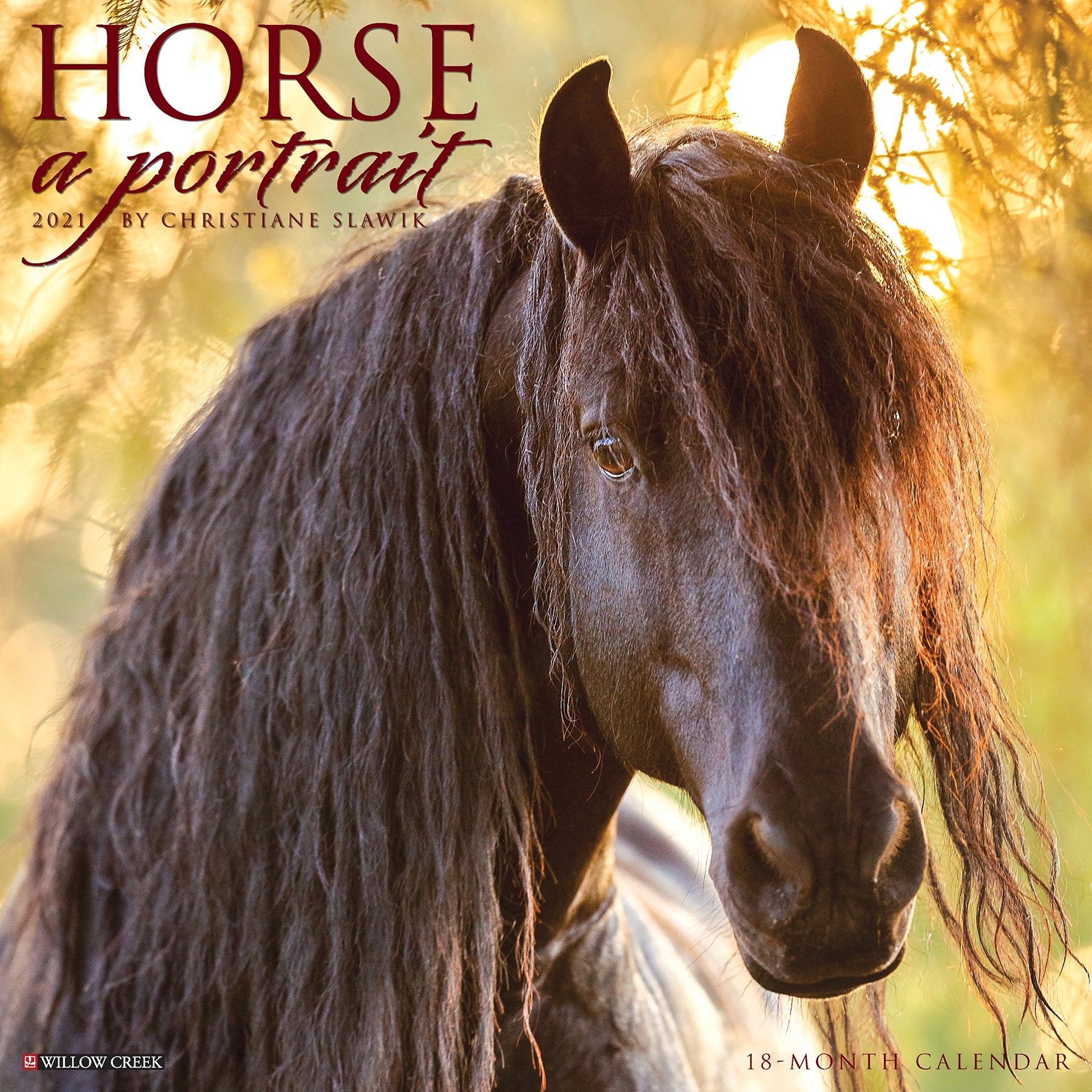 2021 Horse A Portrait 18 Month Calendar