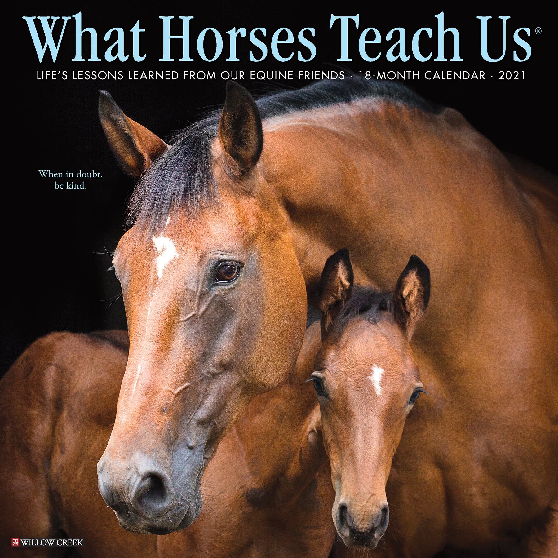 2021 What Horses Teach Us 18 Month Calendar