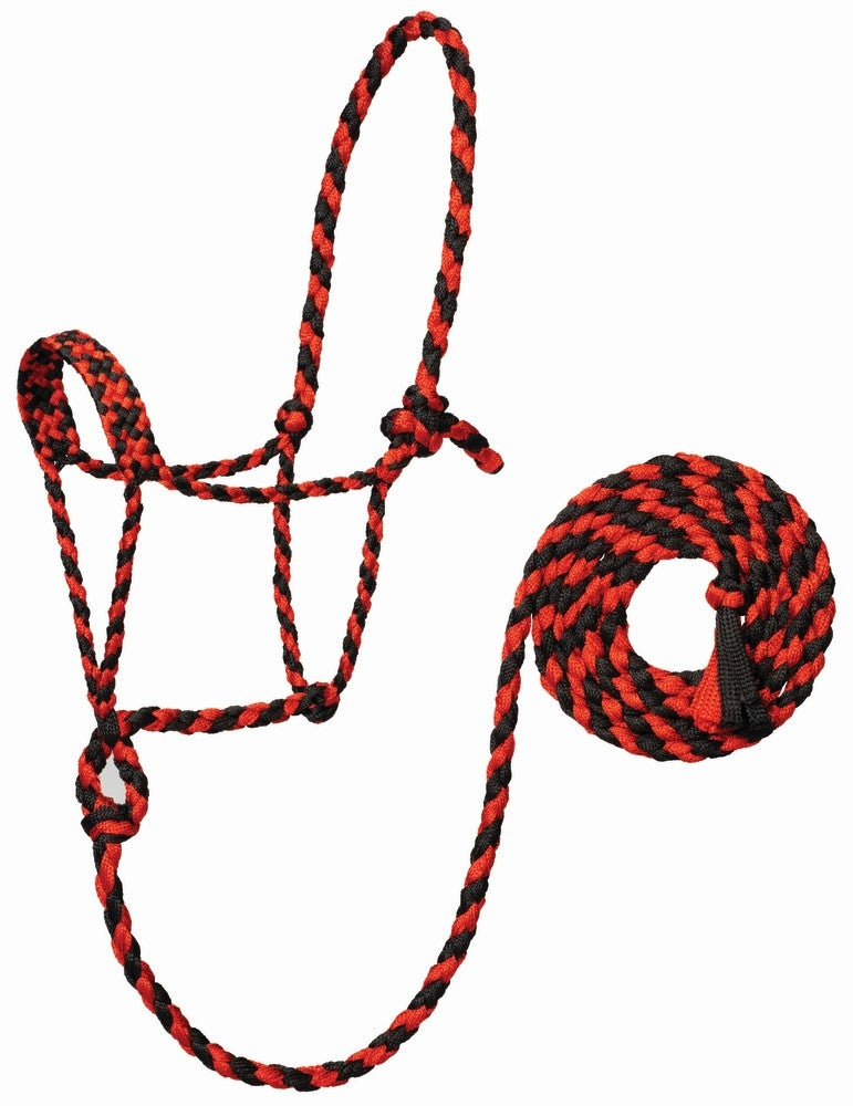 Weaver Braided Rope Halter with 10' Lead
