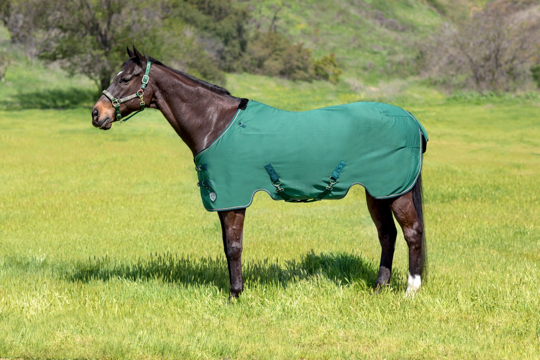 Kensington Poly Cotton Stable Sheet