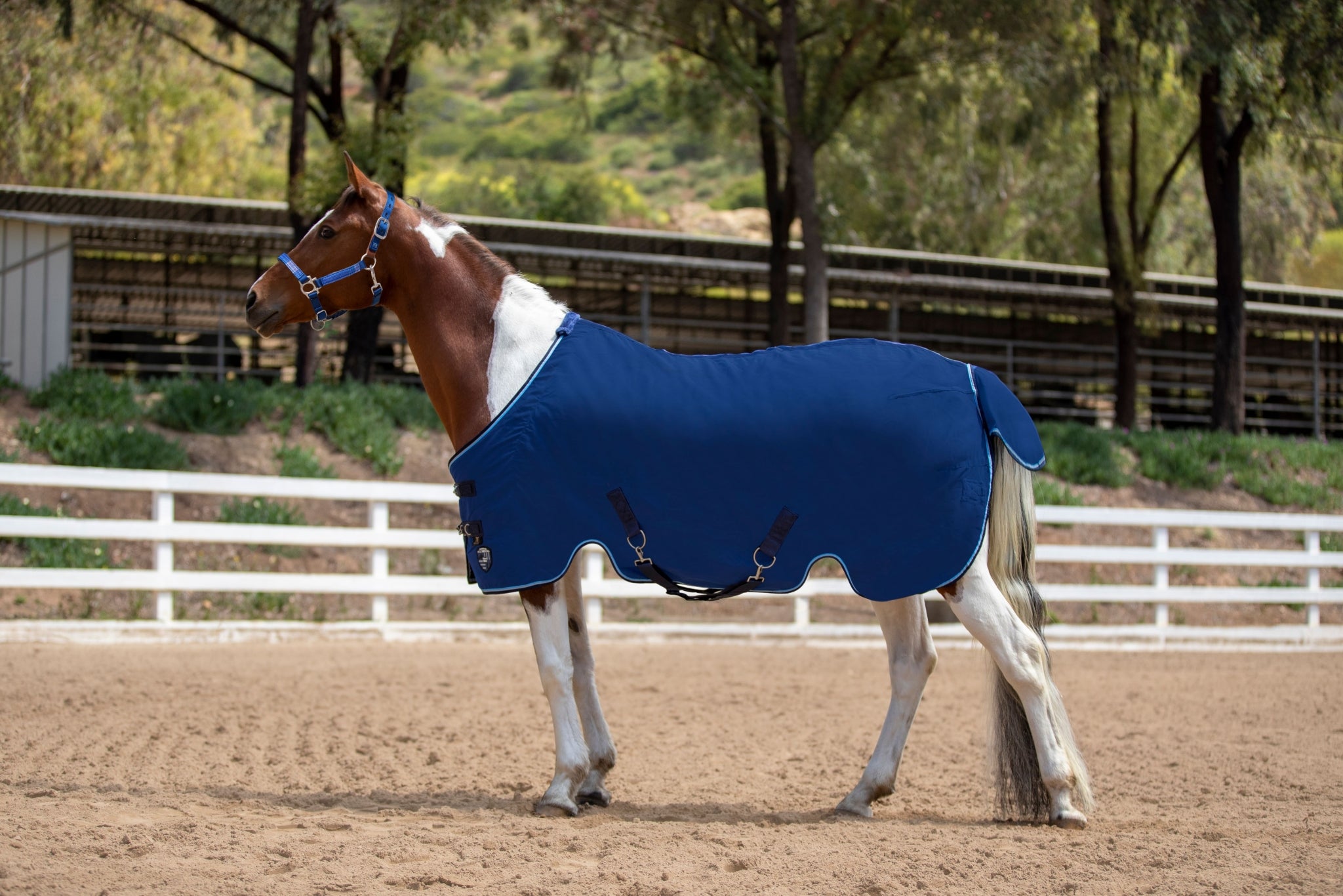 Kensington Poly Cotton Stable Sheet