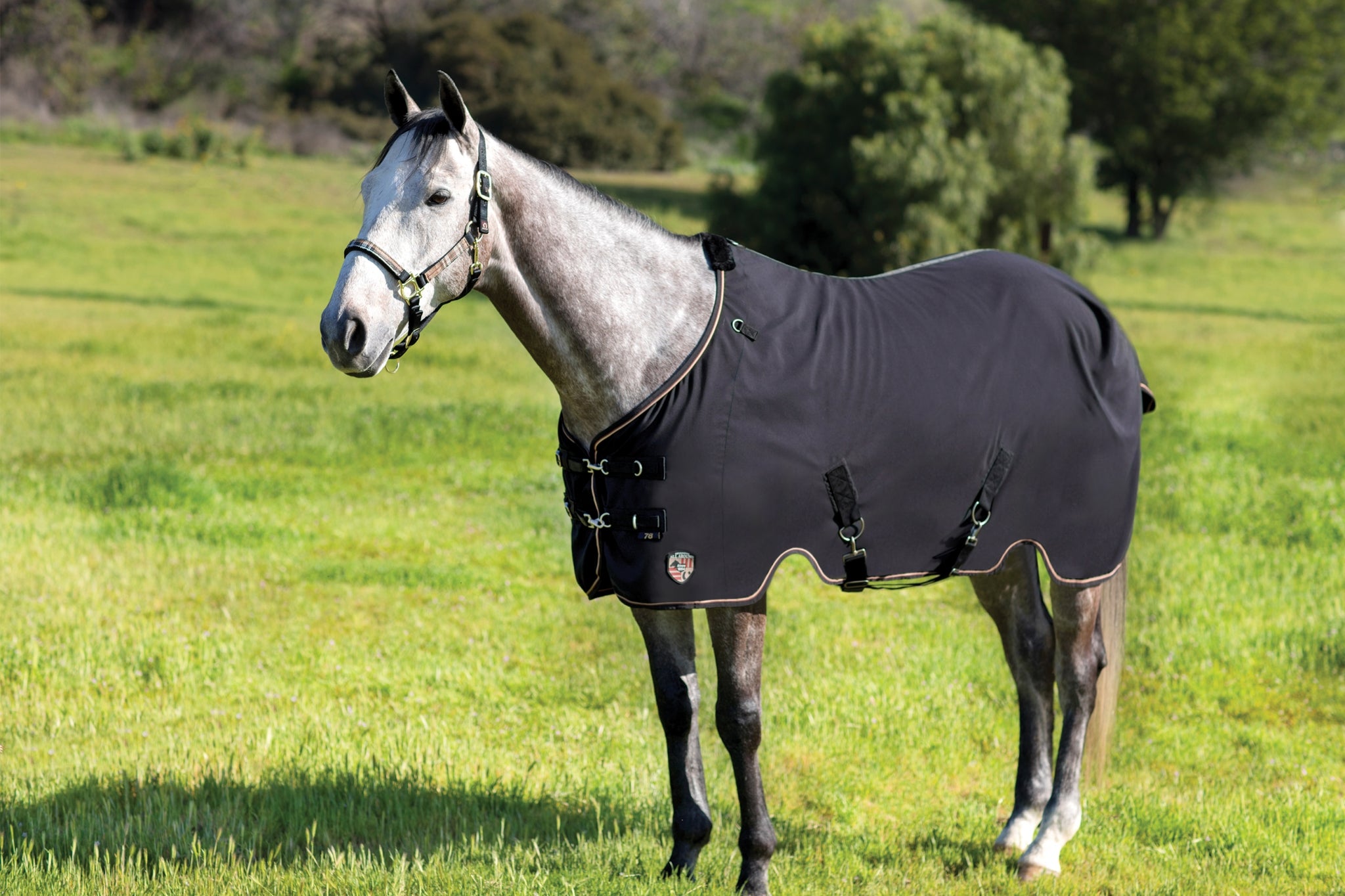 Kensington Poly Cotton Stable Sheet