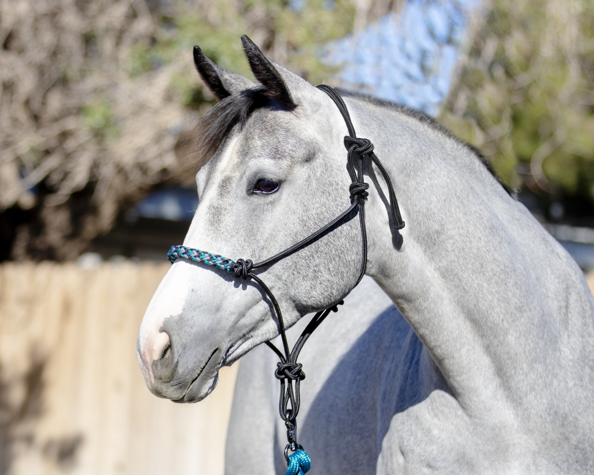 Kensington Clinician Rope Halter