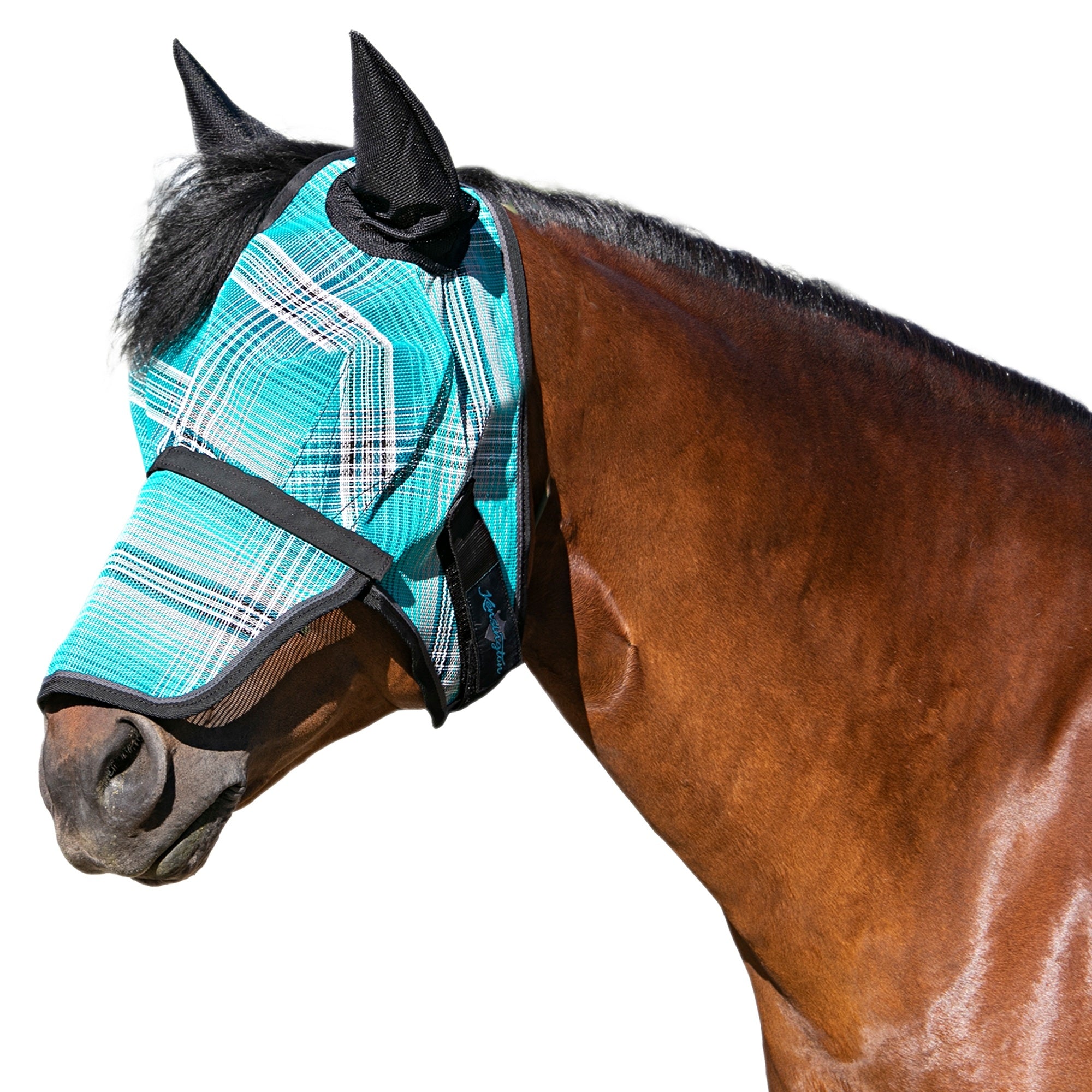 Kensington Mask with Nose and Ears