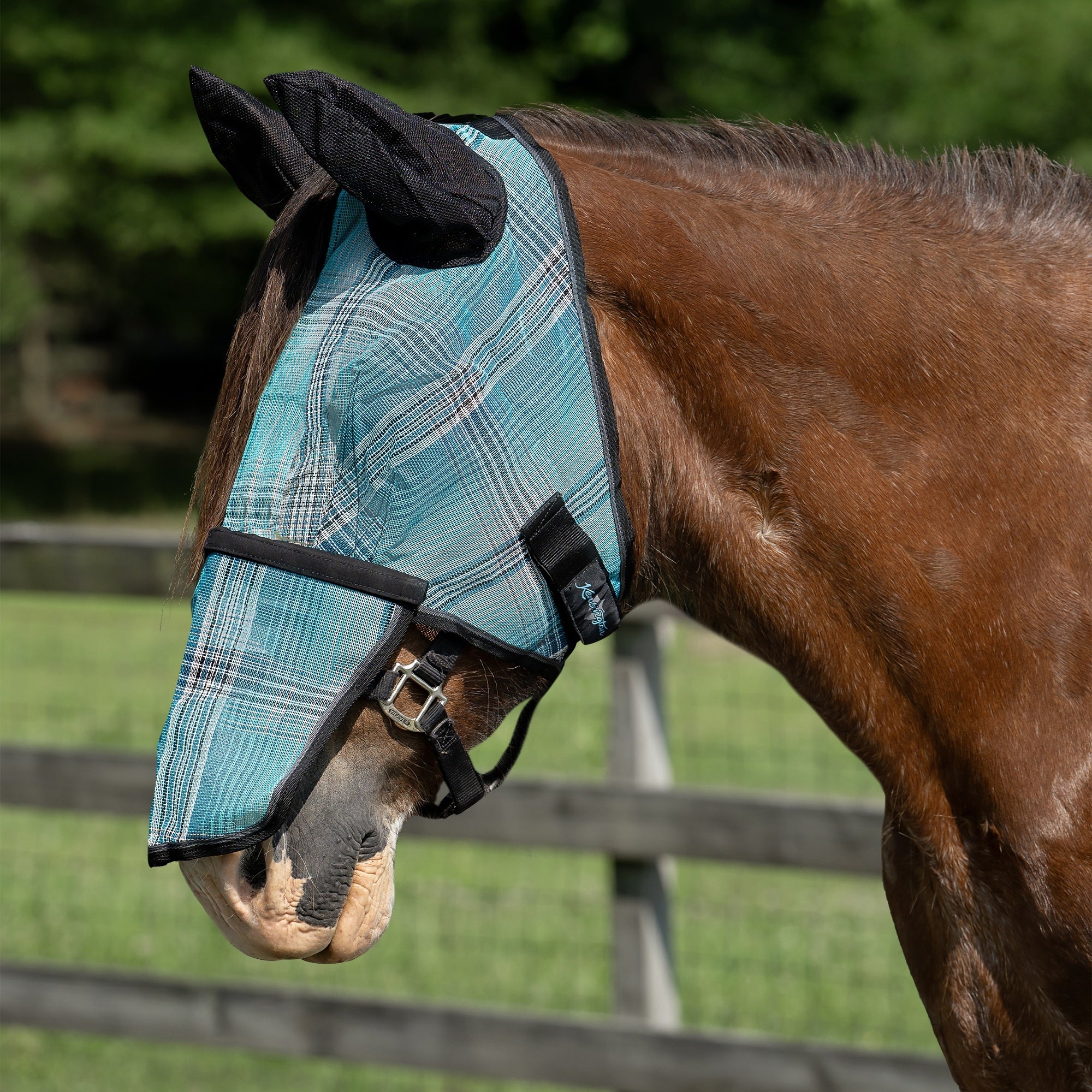 Kensington Mask with Nose and Ears