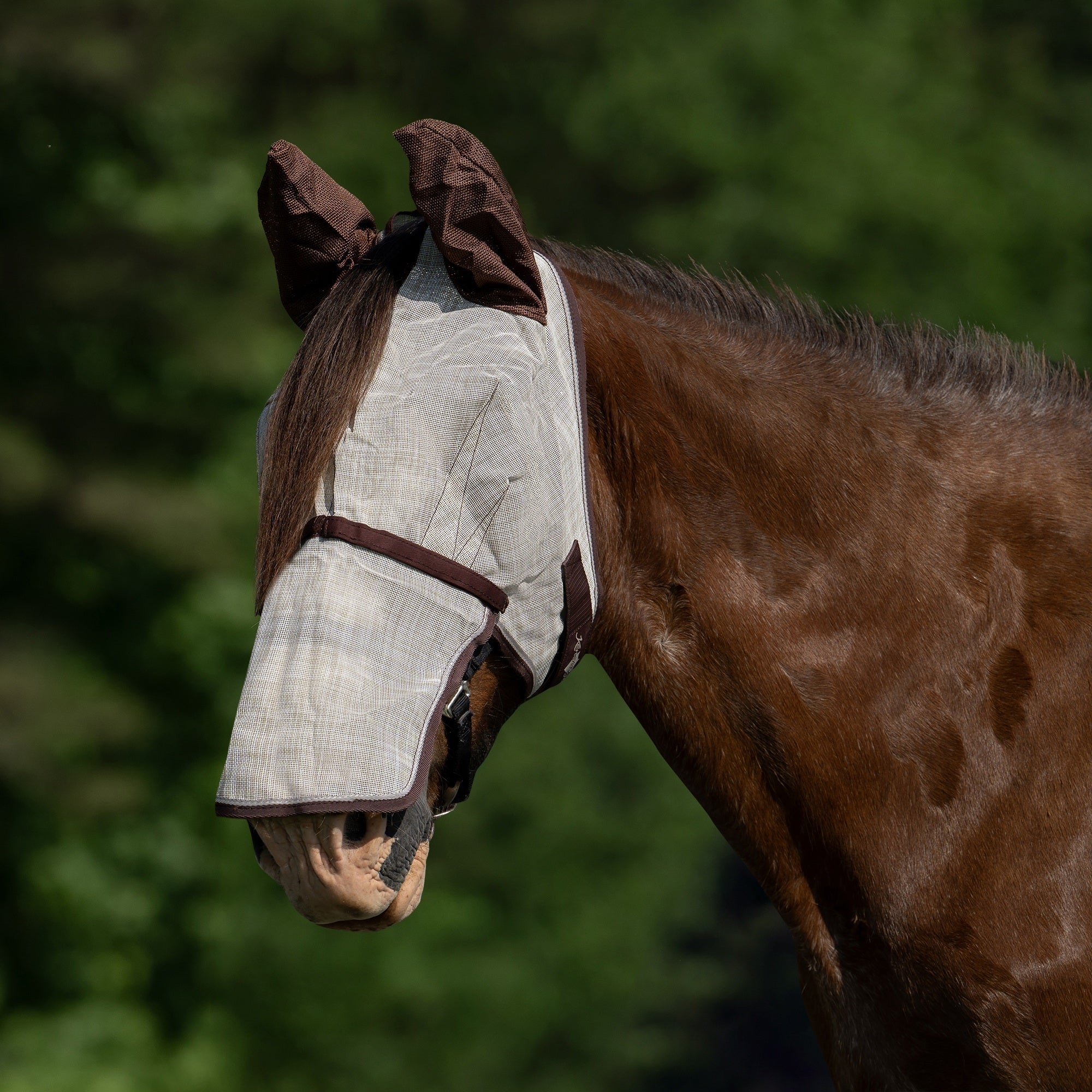 Kensington Mask with Nose and Ears