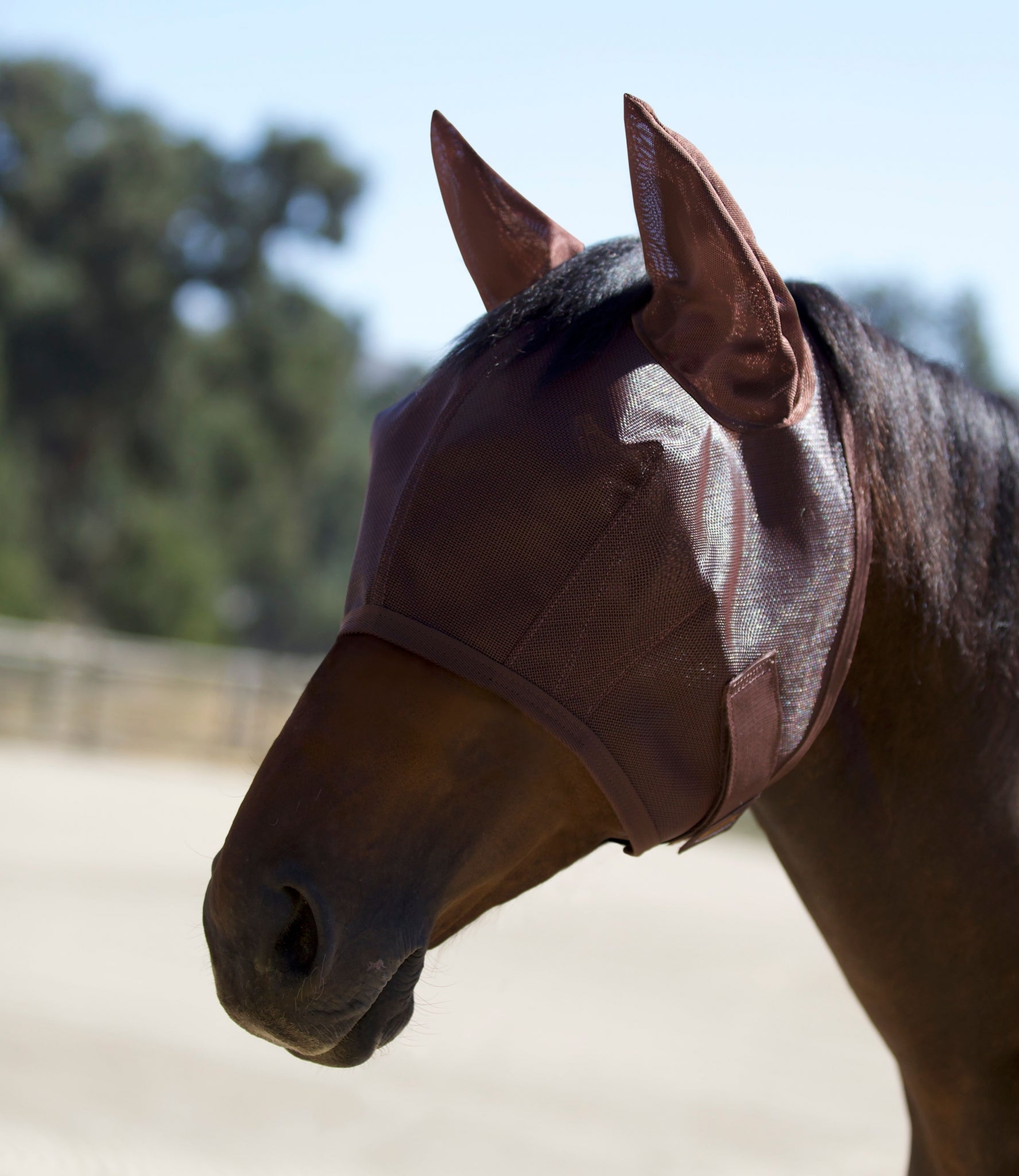 Kensington Fly Mask Web Trim/Ears