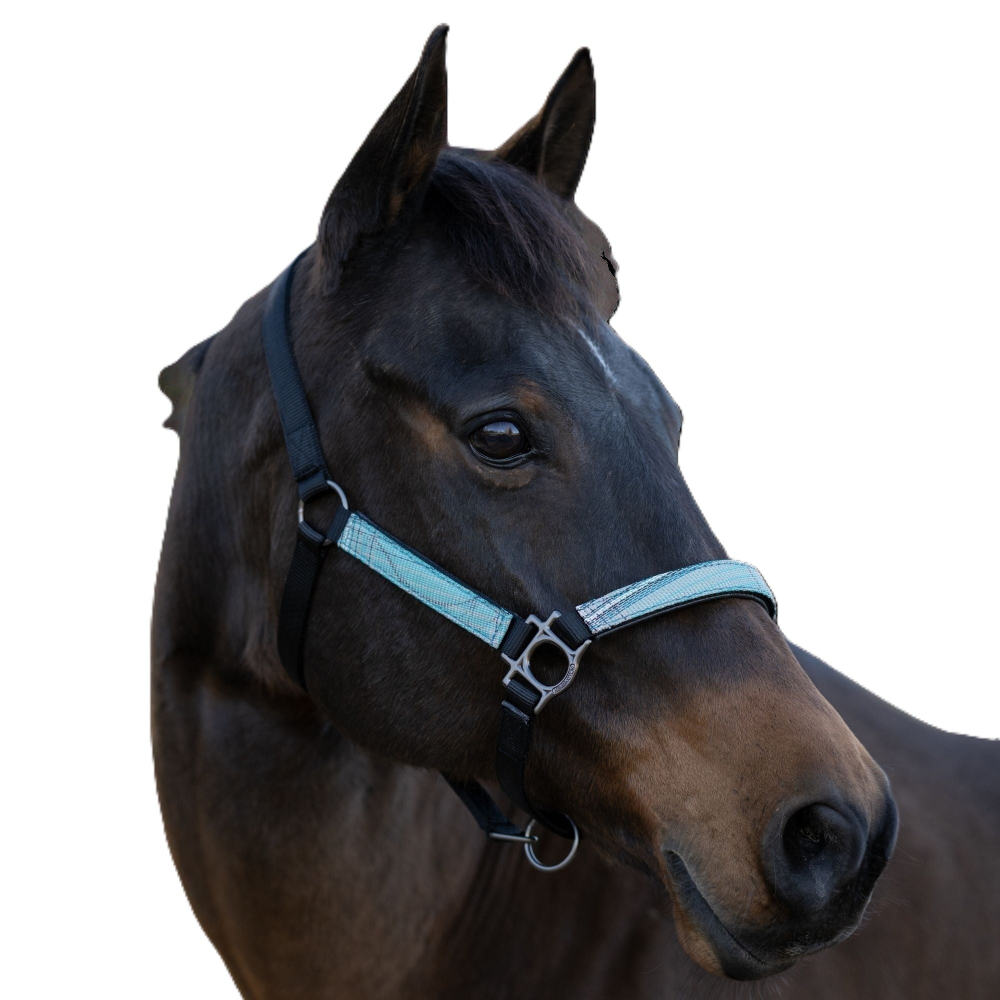 Kensington Breakaway Halter
