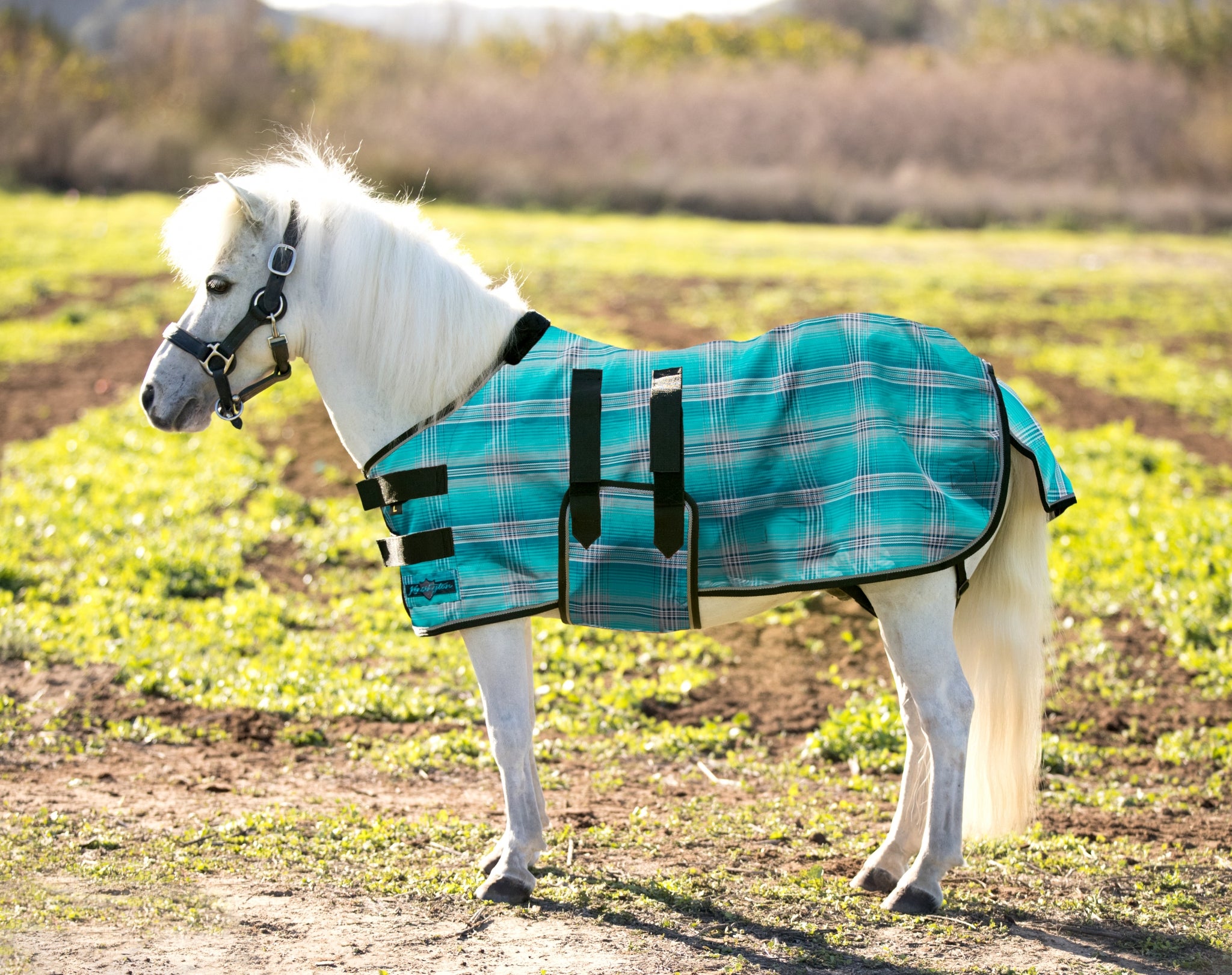 Kensington Protective Sheet Mini