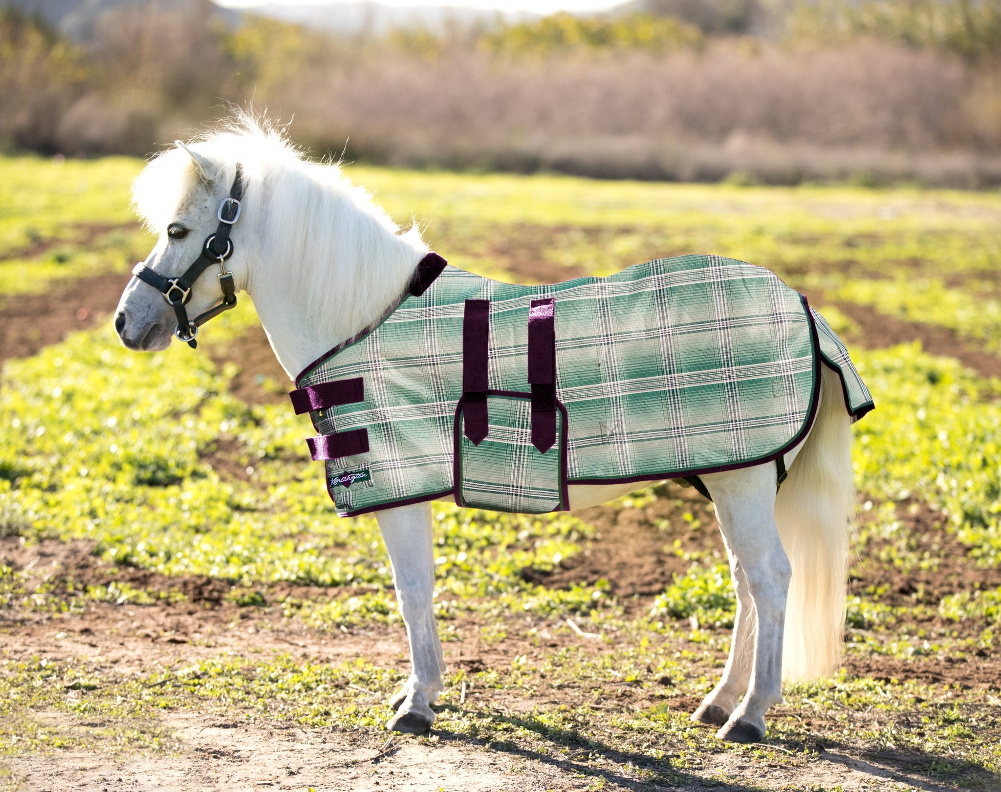 Kensington Protective Sheet Mini