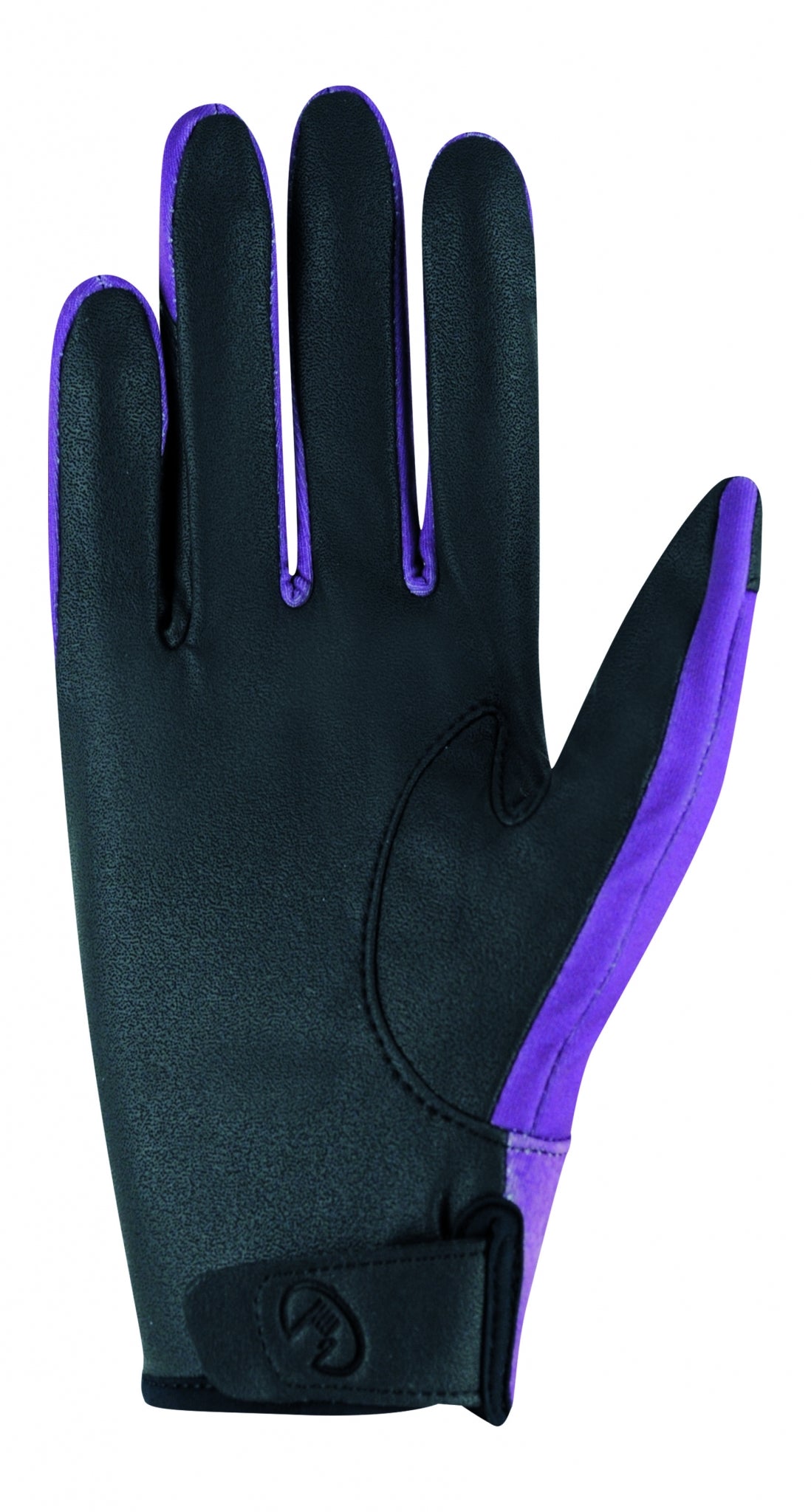 Roeckl Adult Wing Winter Gloves