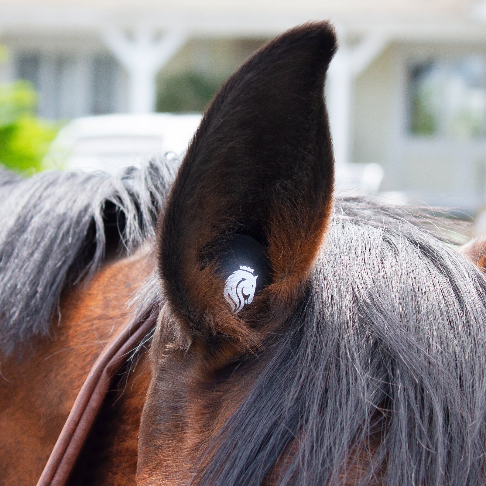 Equinavia BudZ - 3 Pair