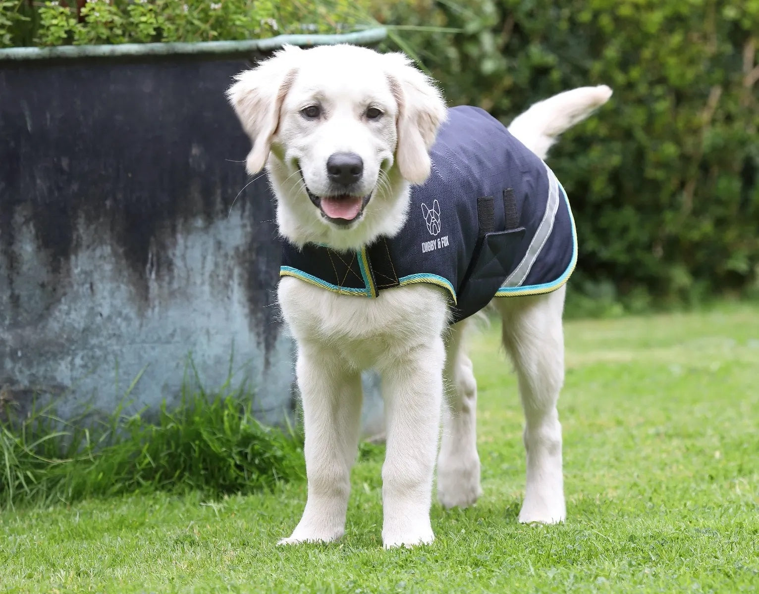 Shires Digby Fox Waterproof Dog Coat