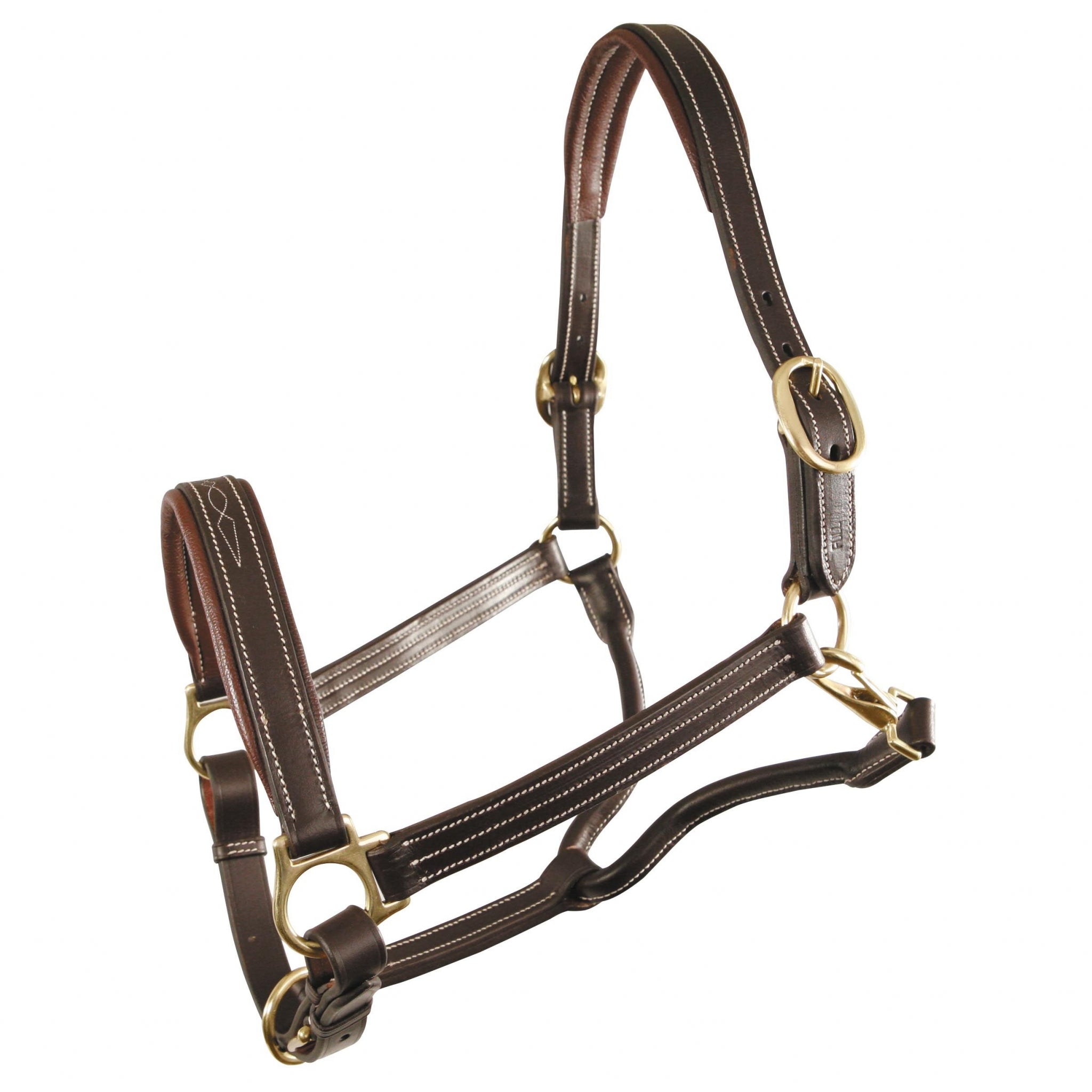 Jamestown Premium Padded 1" Halter
