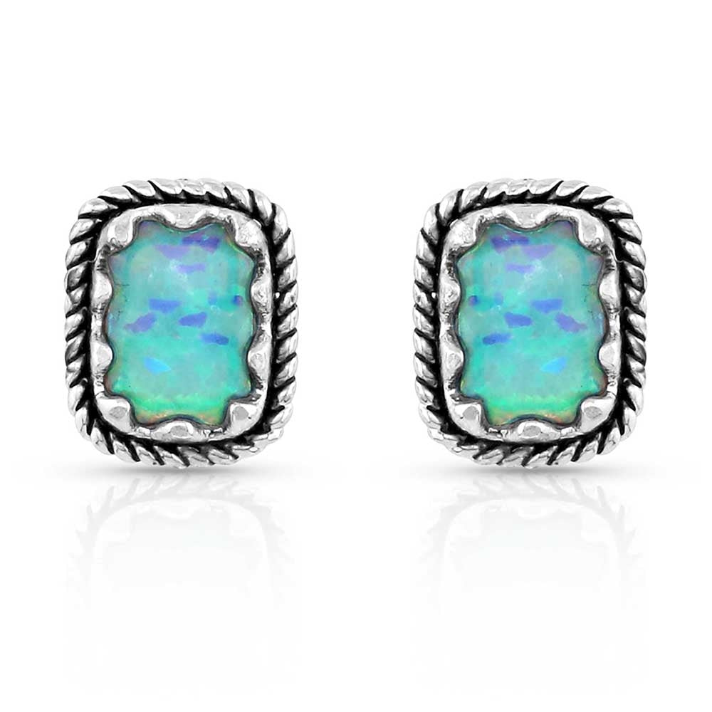 Montana Silversmiths Emerald Pools Roped Silver Earrings