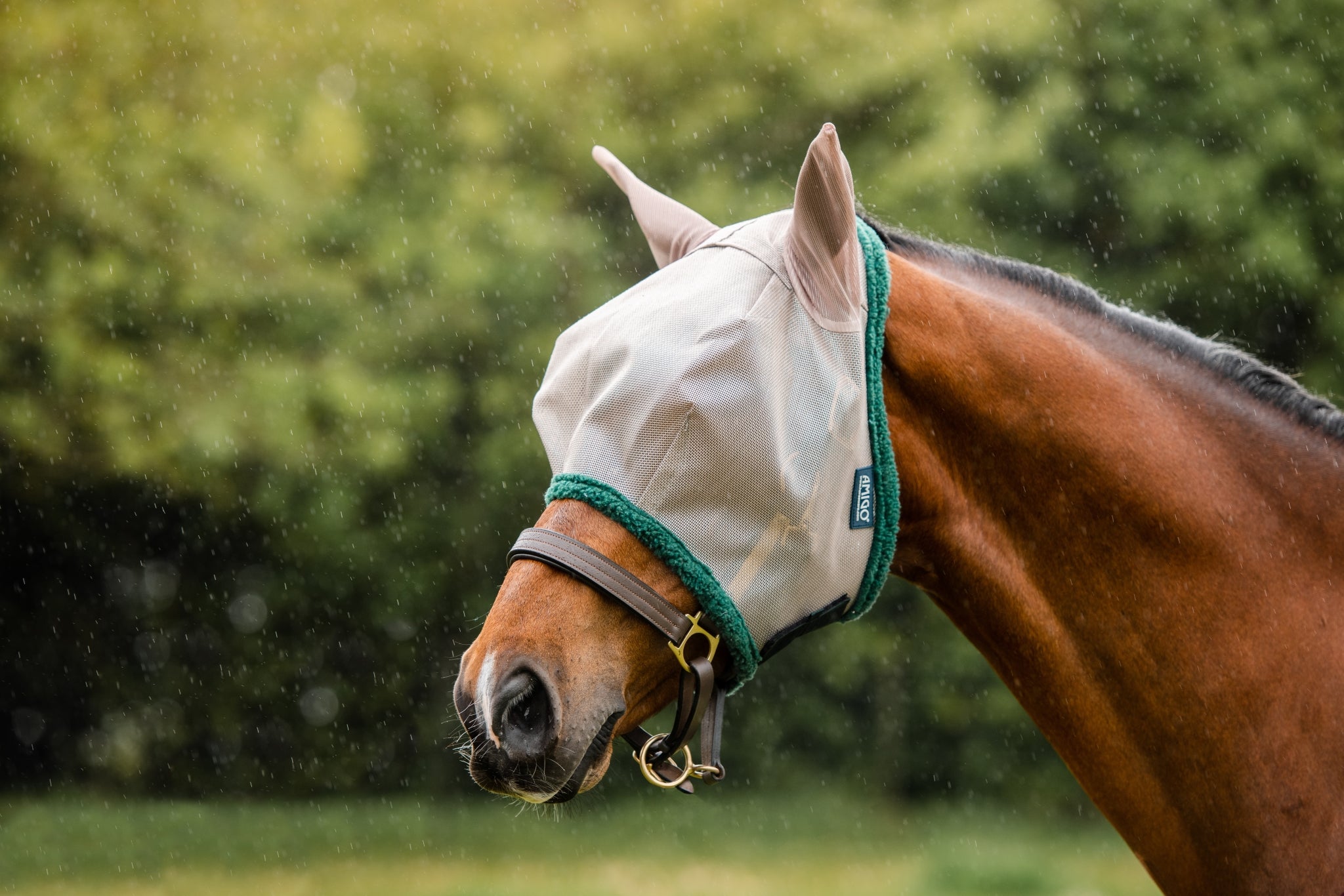 Rambo Flymask