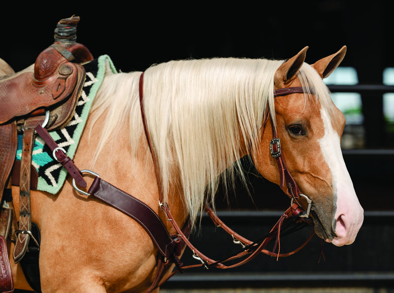 Professionals Choice Single Rein German Martingale