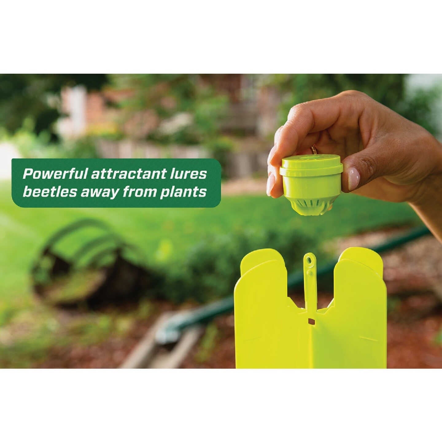 RESCUE! Japanese Beetle Trap Refill