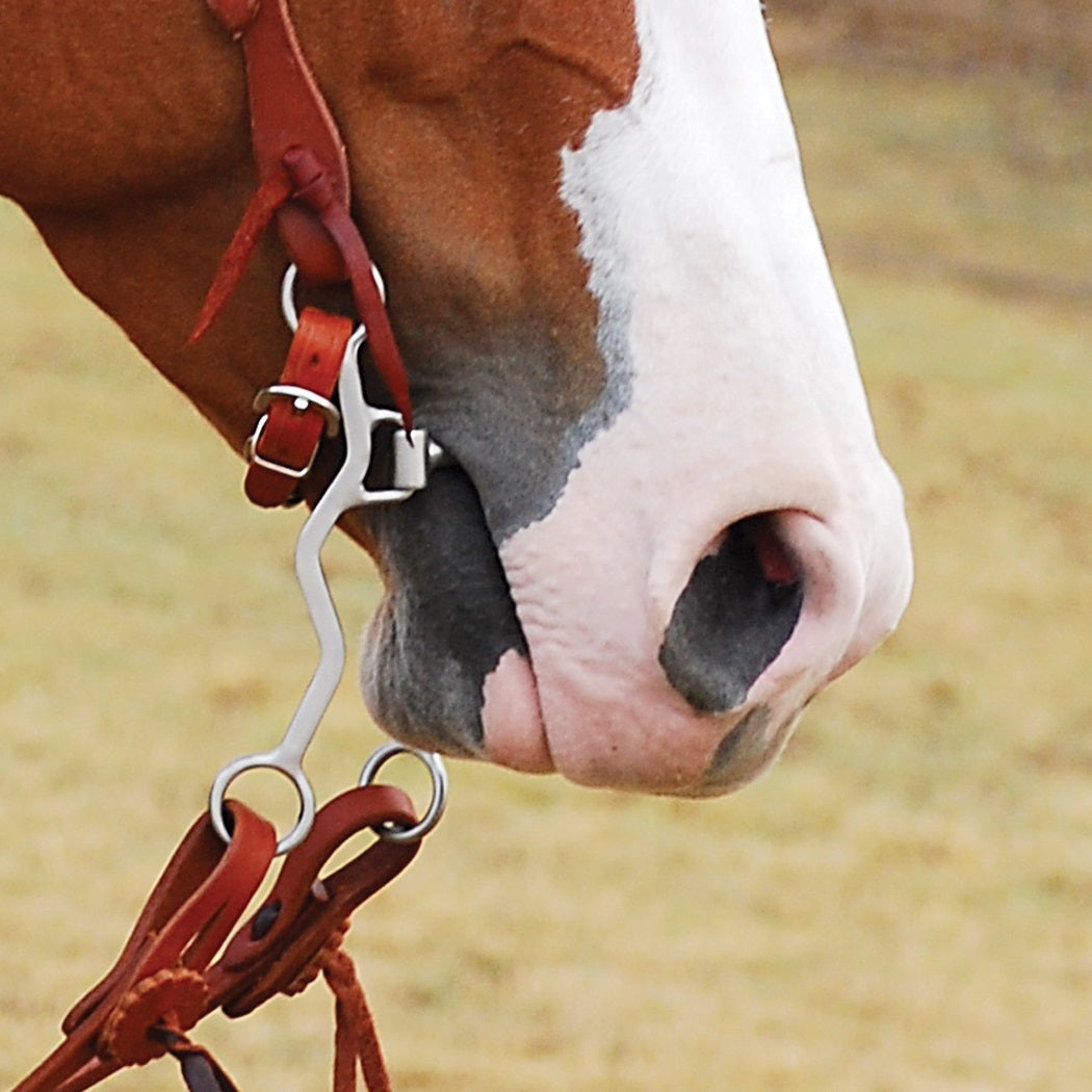 Classic Equine Rickey Green Shank Roping Bit with Chain