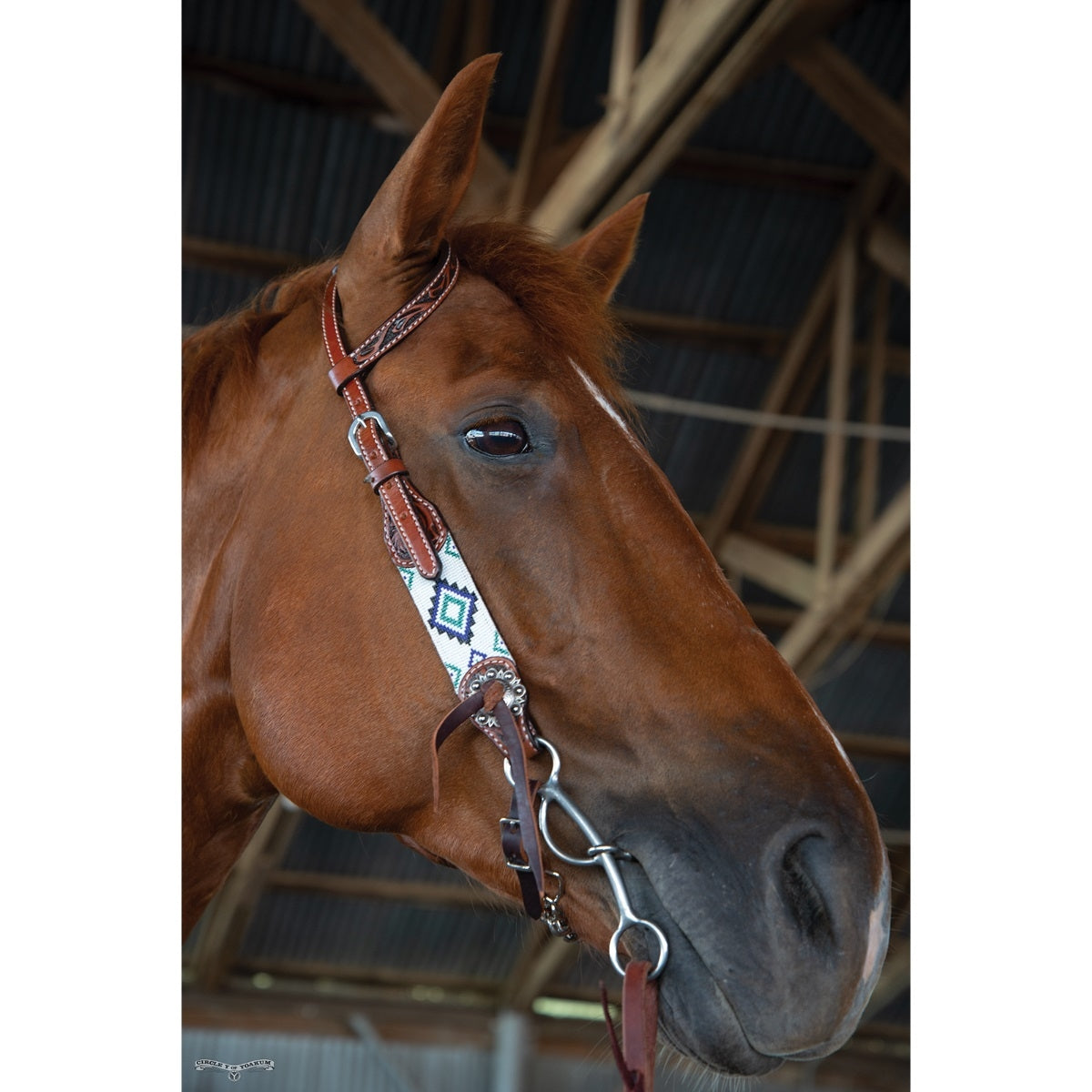 Circle Y Flat Infinity One Ear Headstall