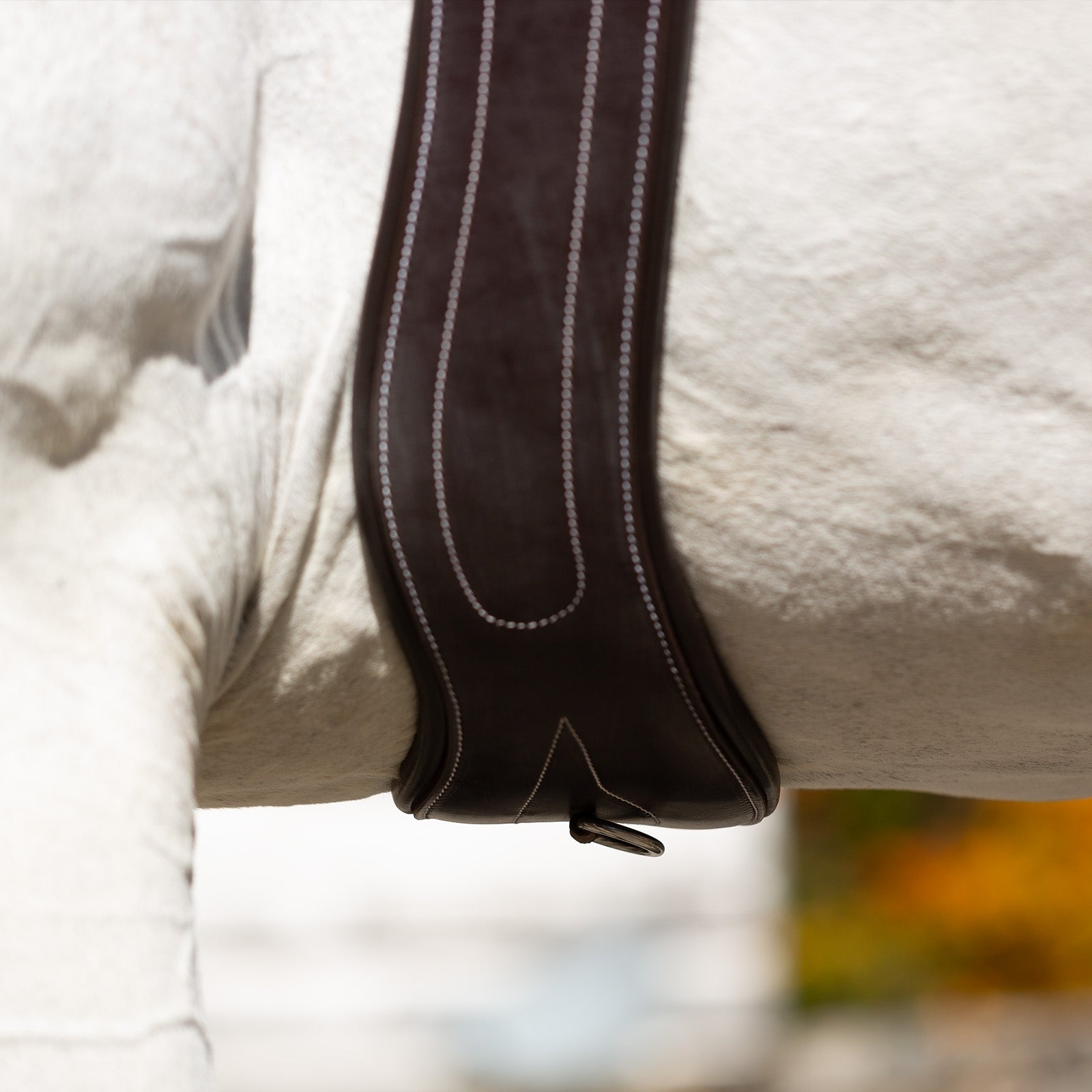 Equinavia Valkyrie Anatomical Long Girth