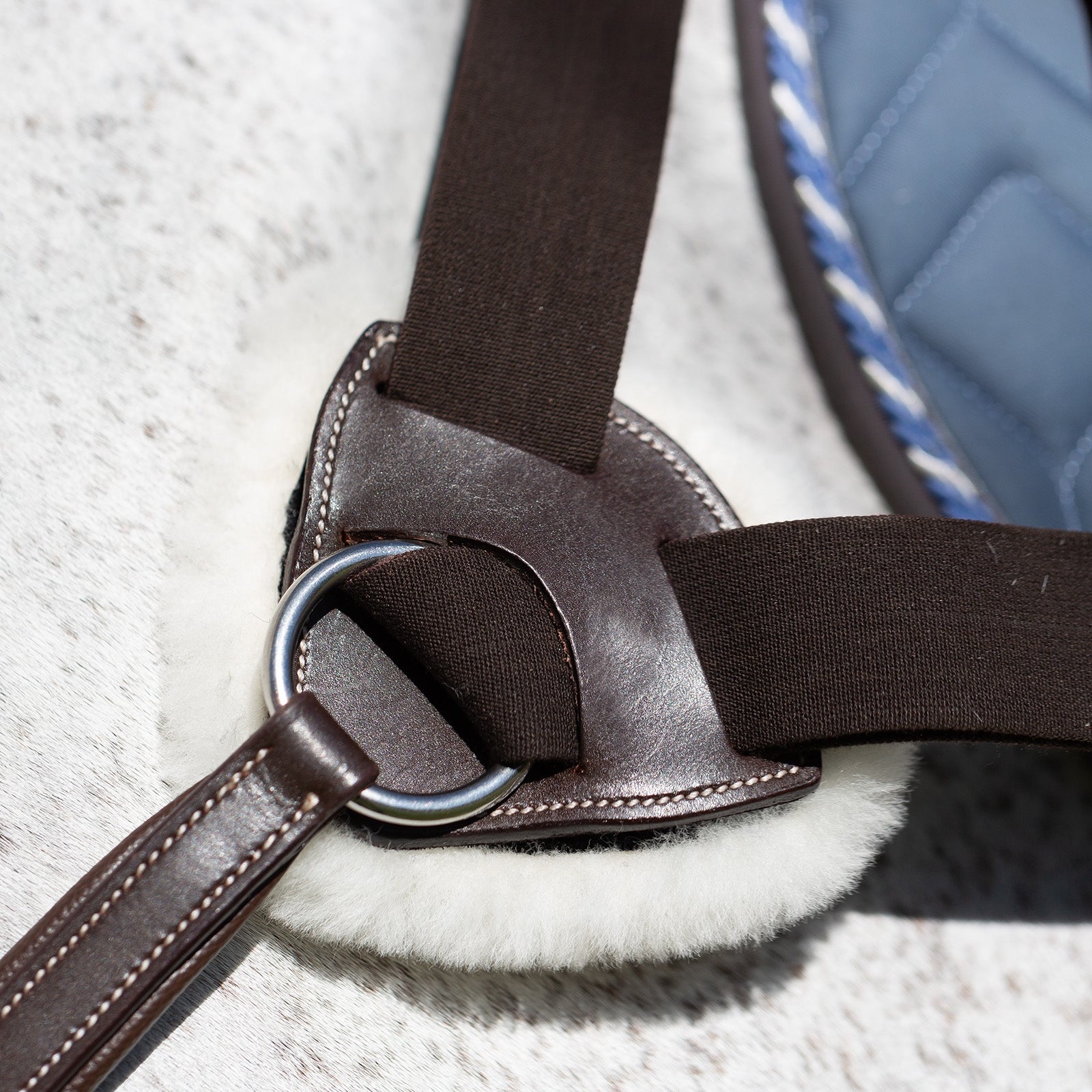 Equinavia Saga 5-point Breastplate