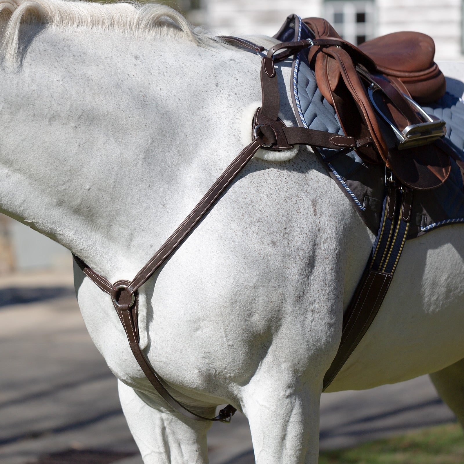 Equinavia Saga 5-point Breastplate