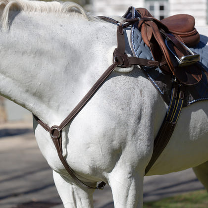 Equinavia Saga 5-point Breastplate