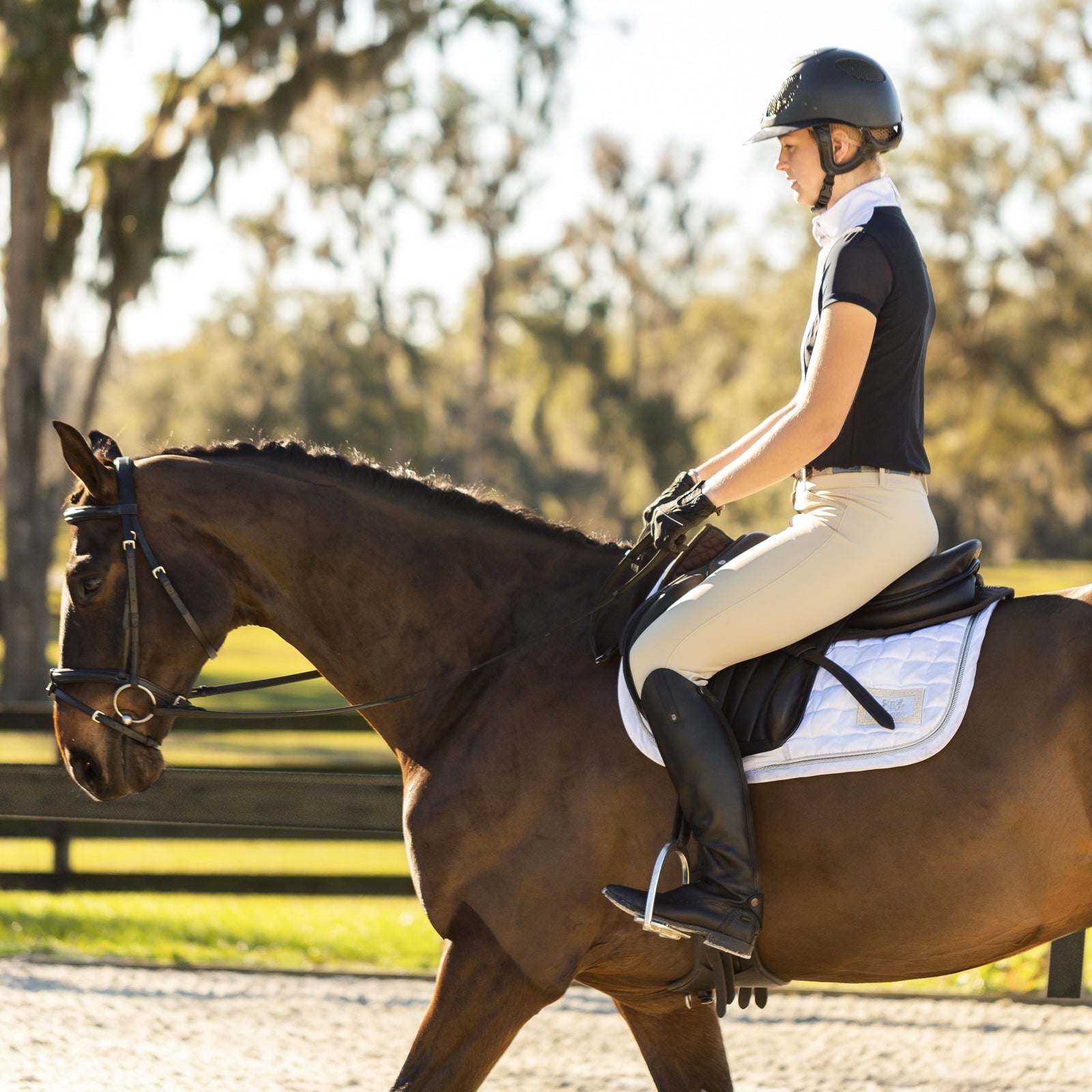 Equinavia Maud Ladies KP Breeches