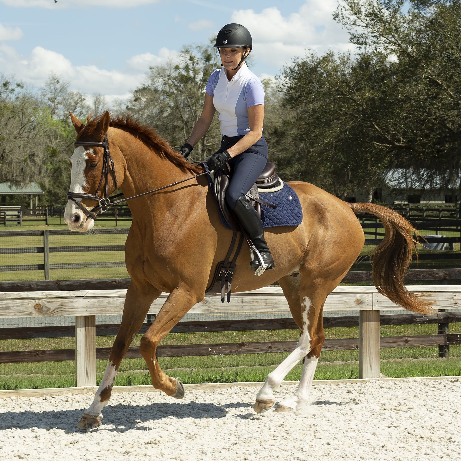 Equinavia Maud Ladies KP Breeches