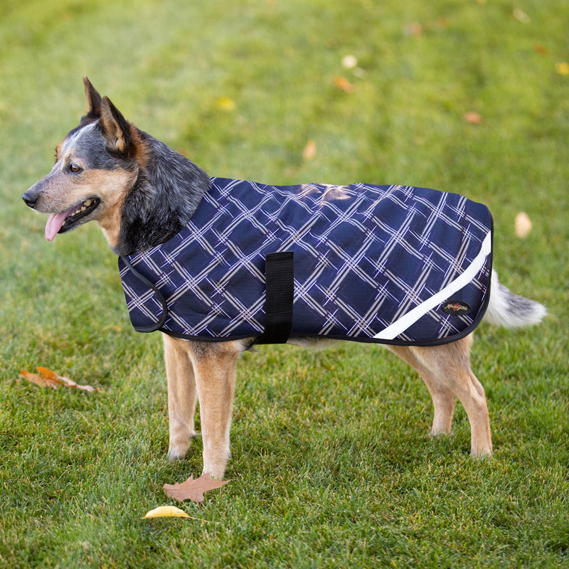 Kensington 1200D Winter Dog Coat - 180g