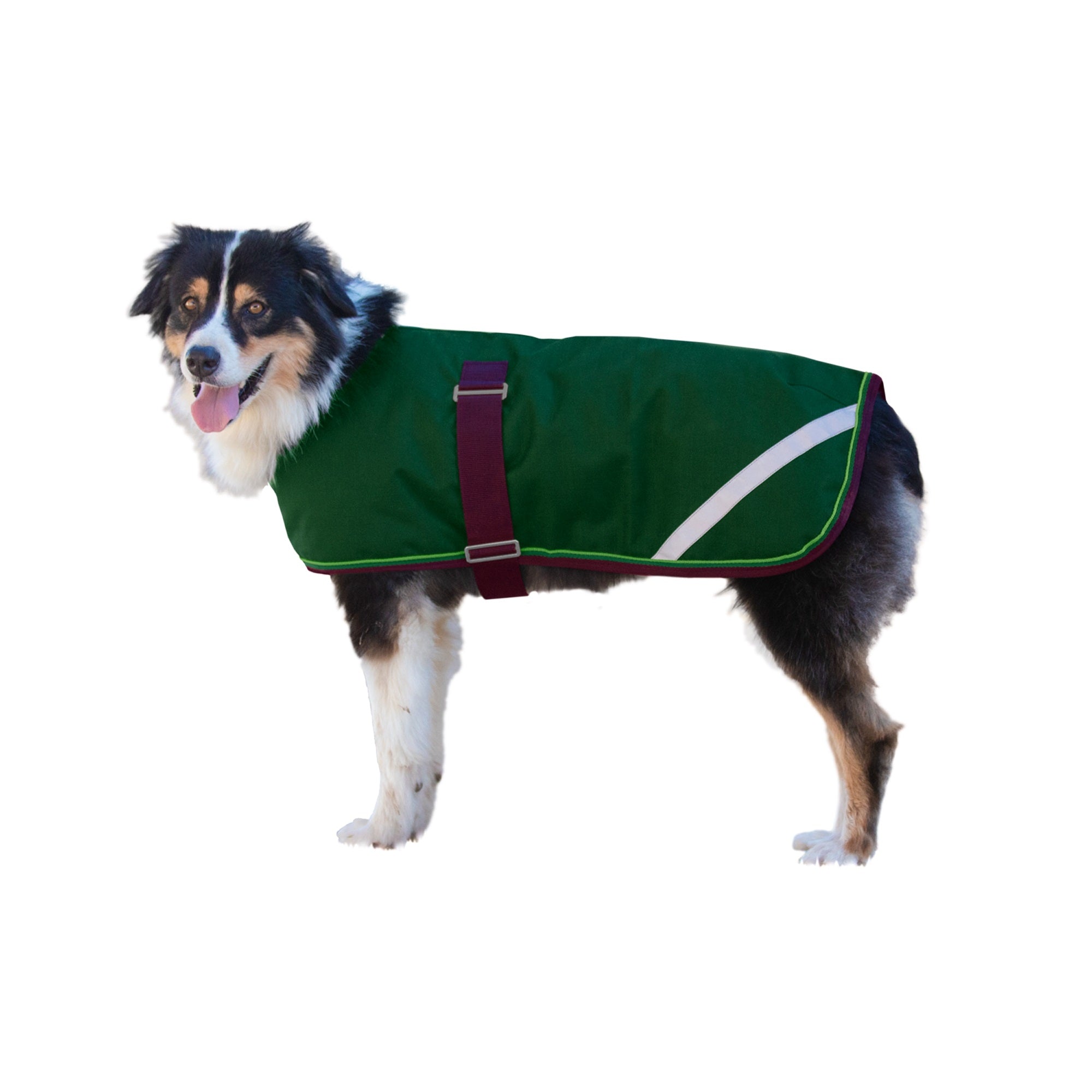 Kensington 1200D Winter Dog Coat - 180g