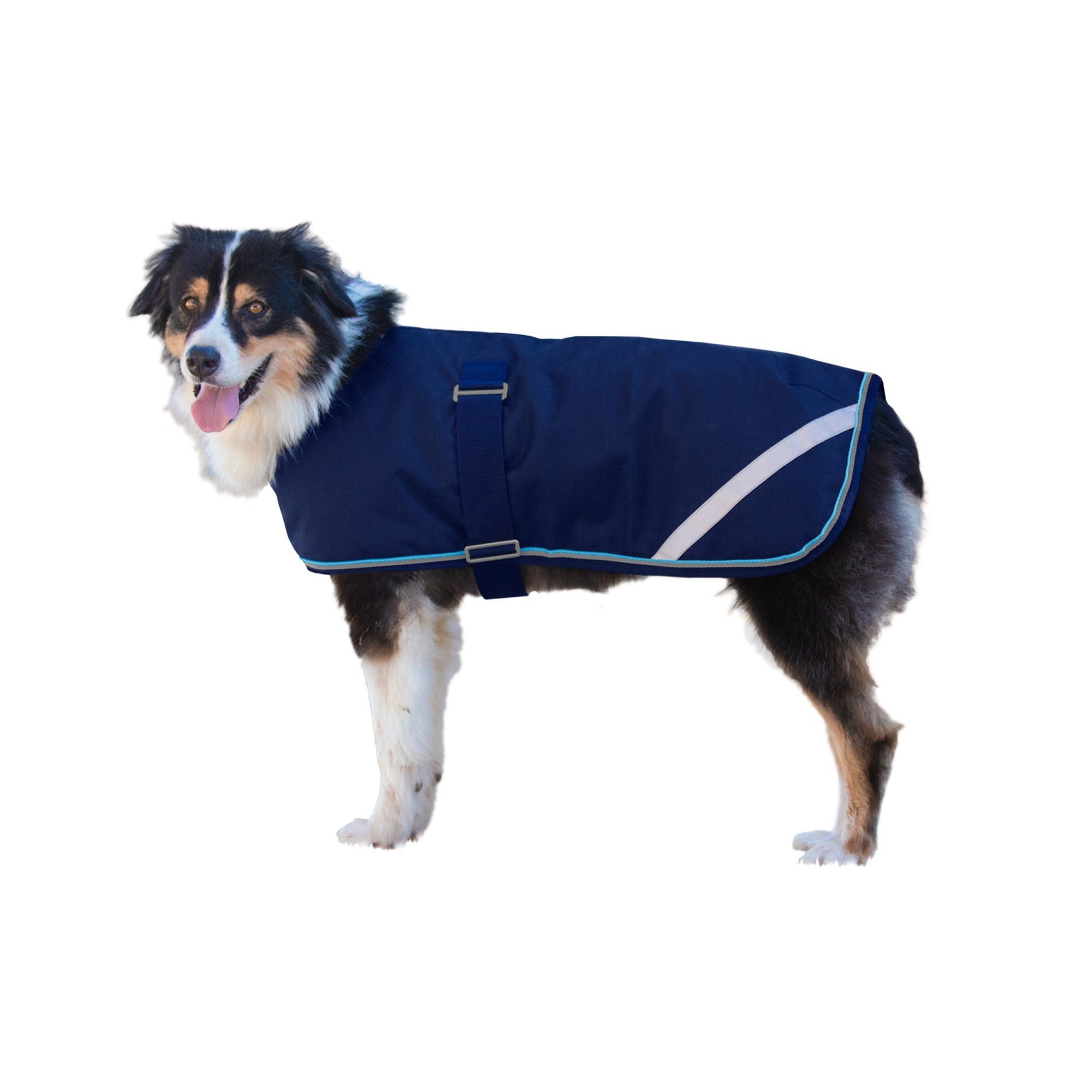 Kensington 1200D Winter Dog Coat - 180g